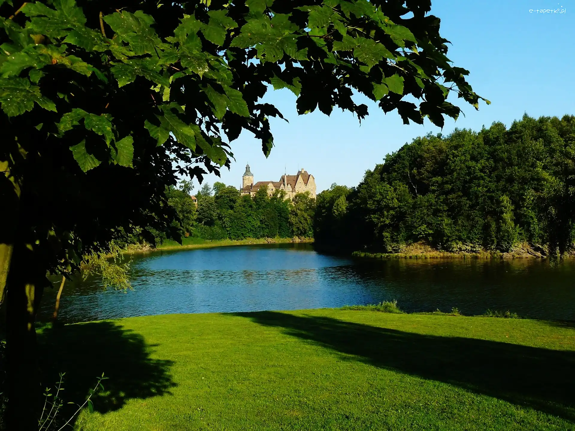 Drzewa, Zamek, Jezioro