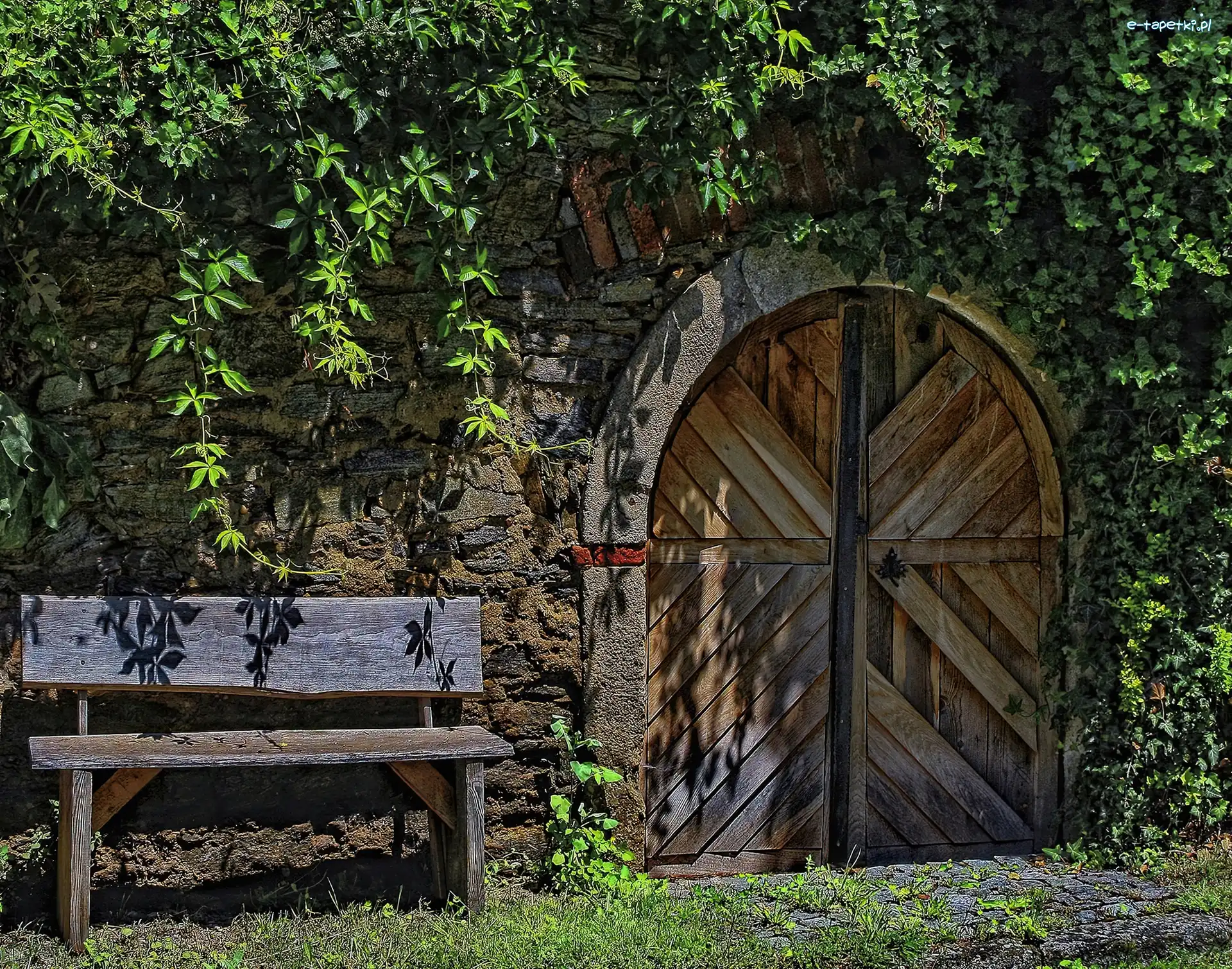 Drzwi, Liście, Brama, Ławka, Mur, Ogródek