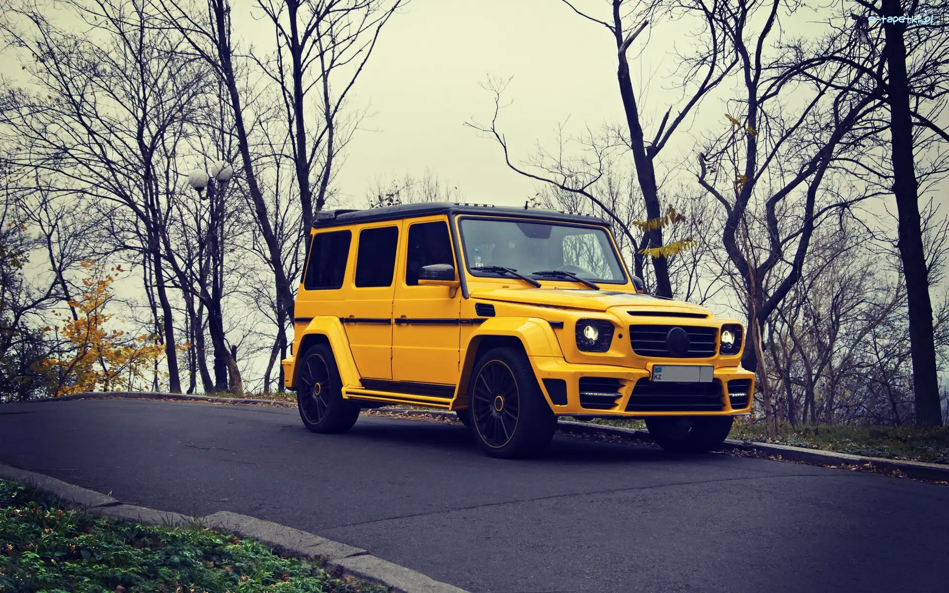 Drzewa, Benz, G63, Mercedes, Żółty, Droga, Jesień