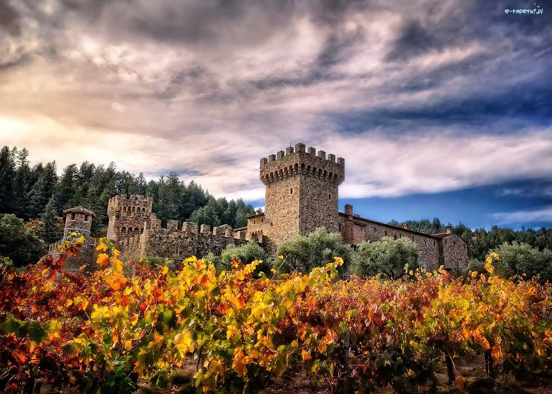 Di Amorosa, Valley, Castello, Winnica, Napa, Kalifornia