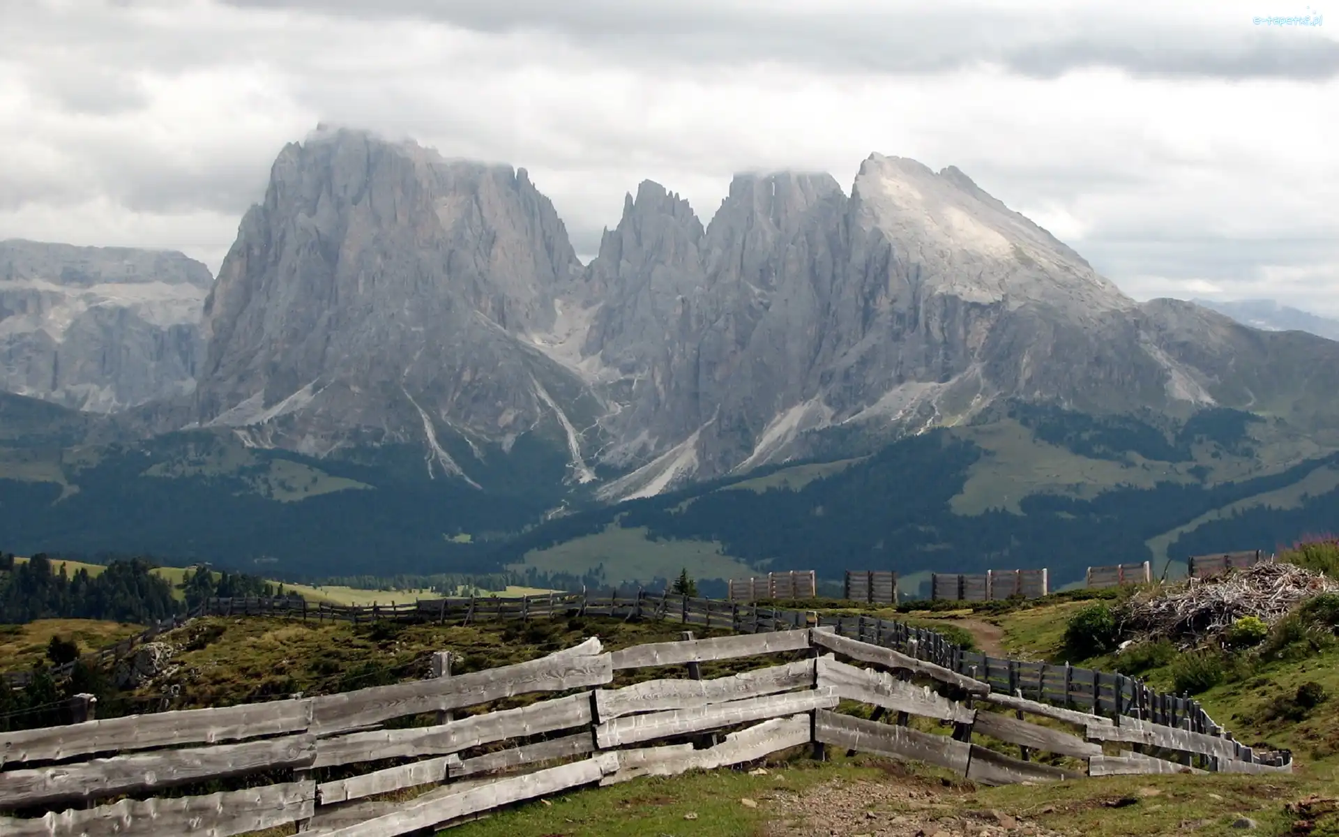 Ogrodzenie, Las, Góry