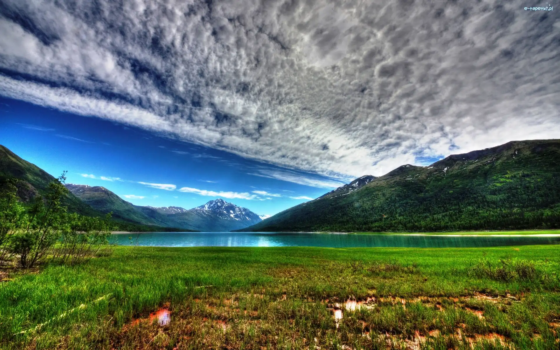 Jezioro, Alaska, Łąka, Góry