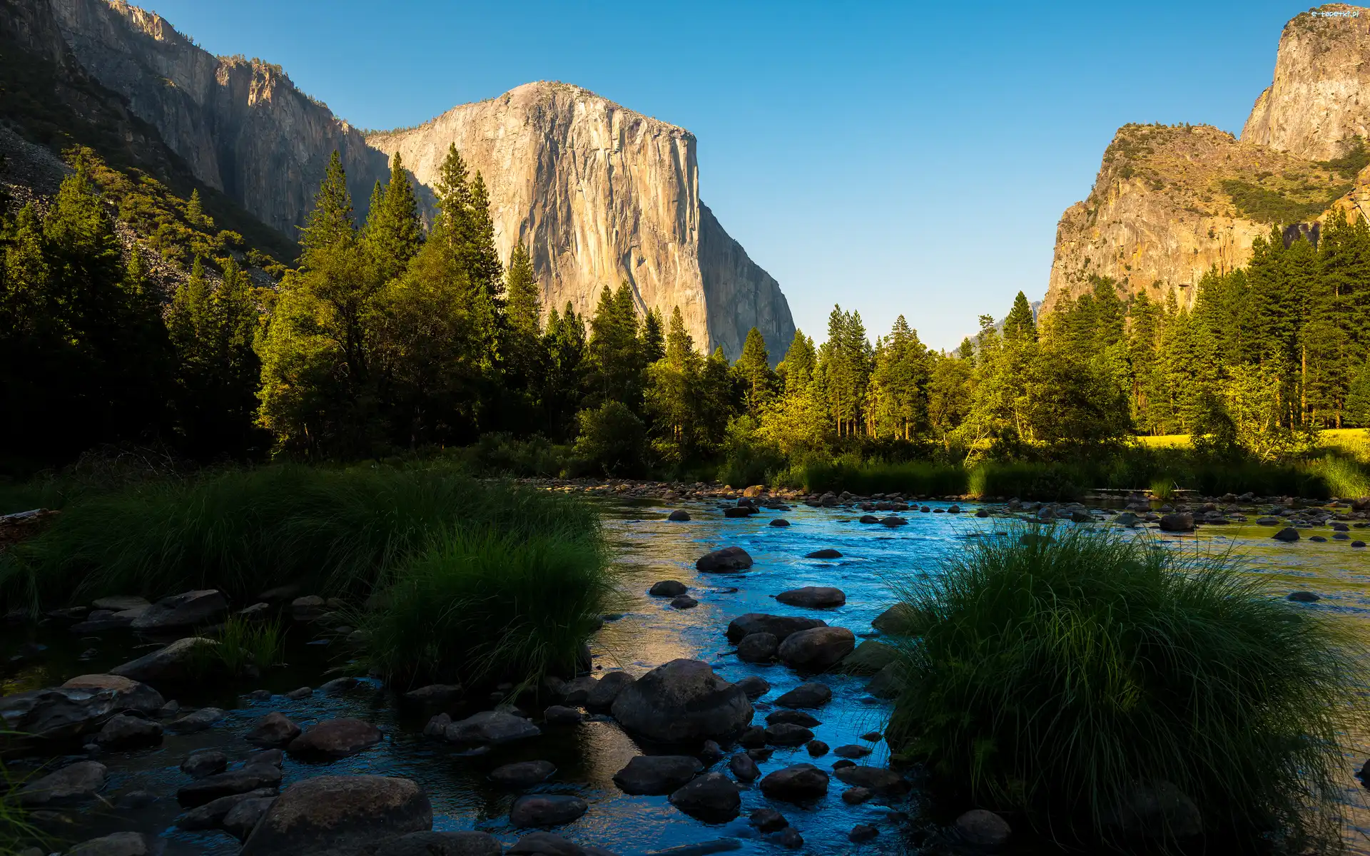 Rzeki, Park Narodowy Yosemite, Góry Sierra Nevada, Stan Kalifornia, Stany Zjednoczone, Dolina, Las