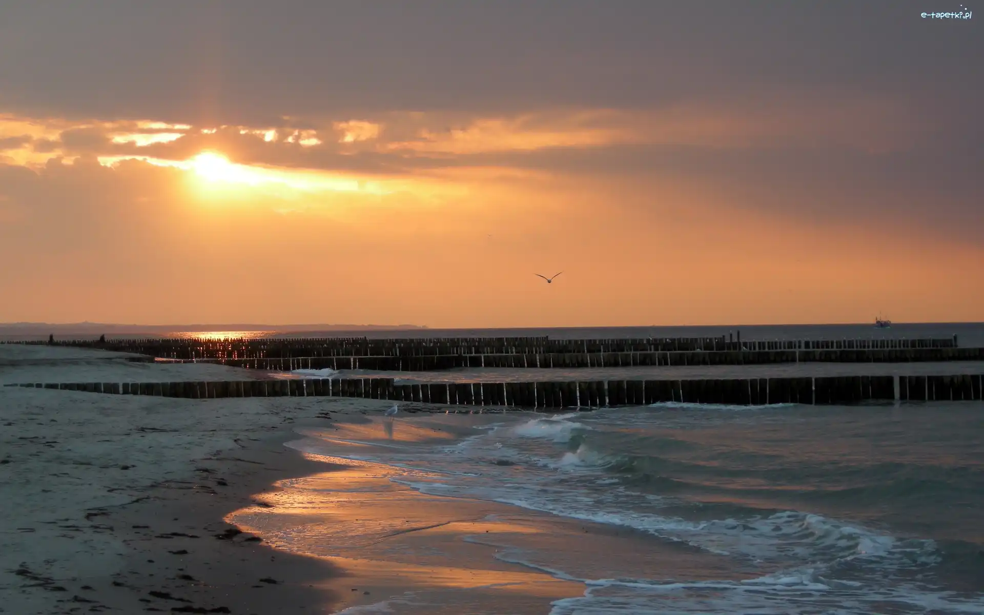 Słońca, Morze, Fale, Falochrony, Plaża, Wschód, Statek