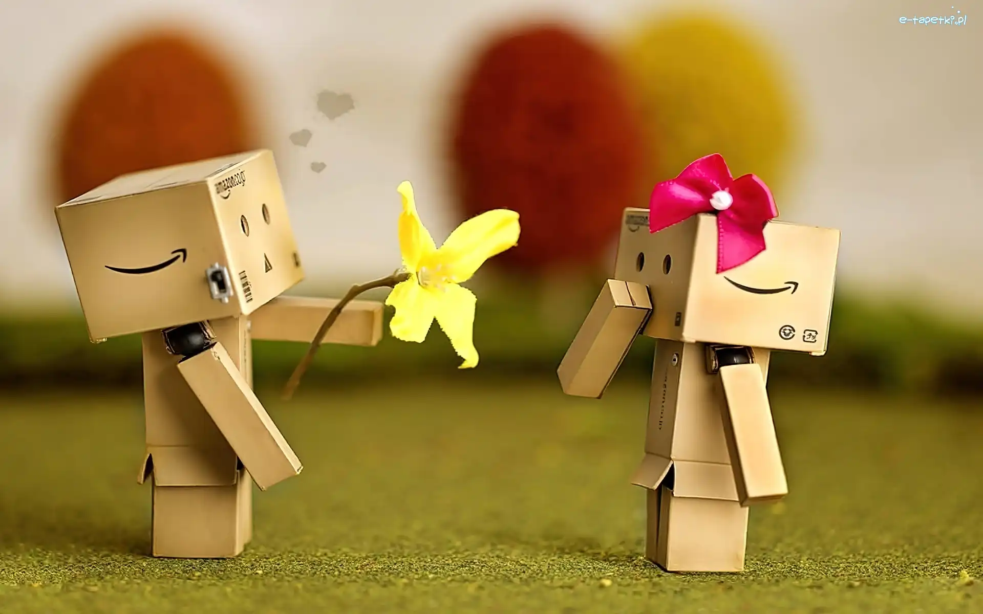 Para, Oświadczyny, Kwiatek, Danbo