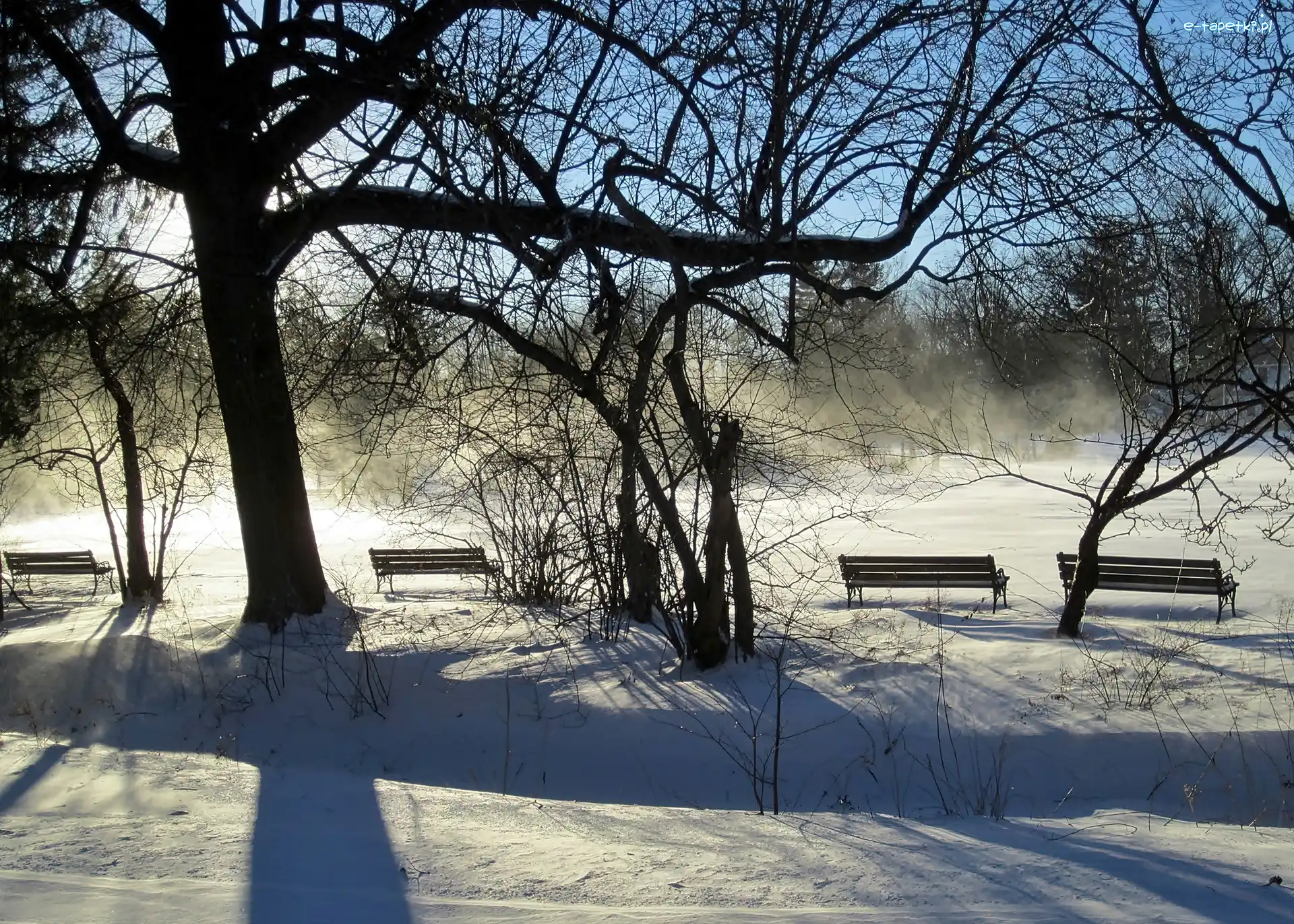 Mgła, W Hartford, Zima, Ławeczki, Elizabeth, Park