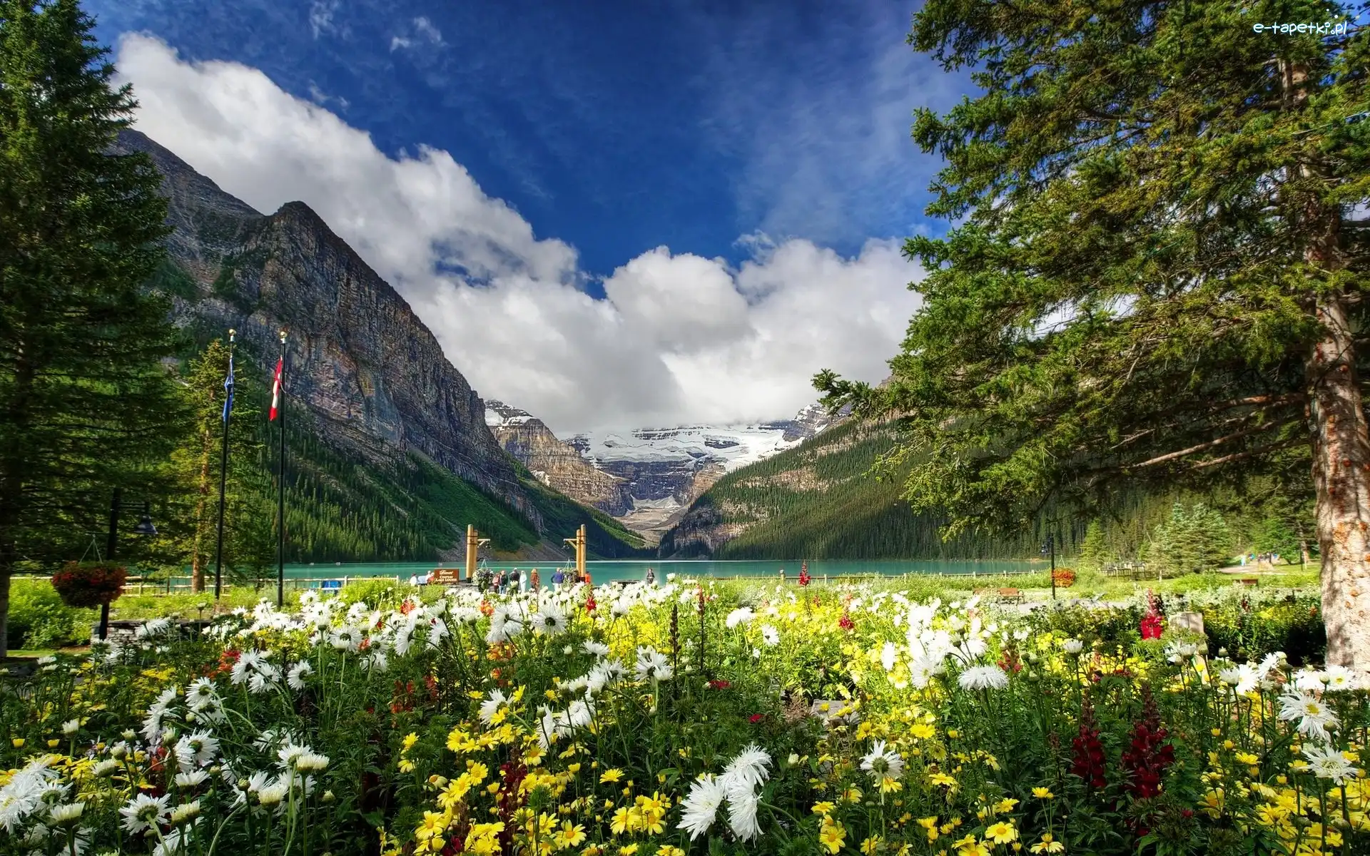 Jezioro Lake Louise, Park Narodowy Banff, Góry, Drzewa, Prowincja Alberta, Kanada