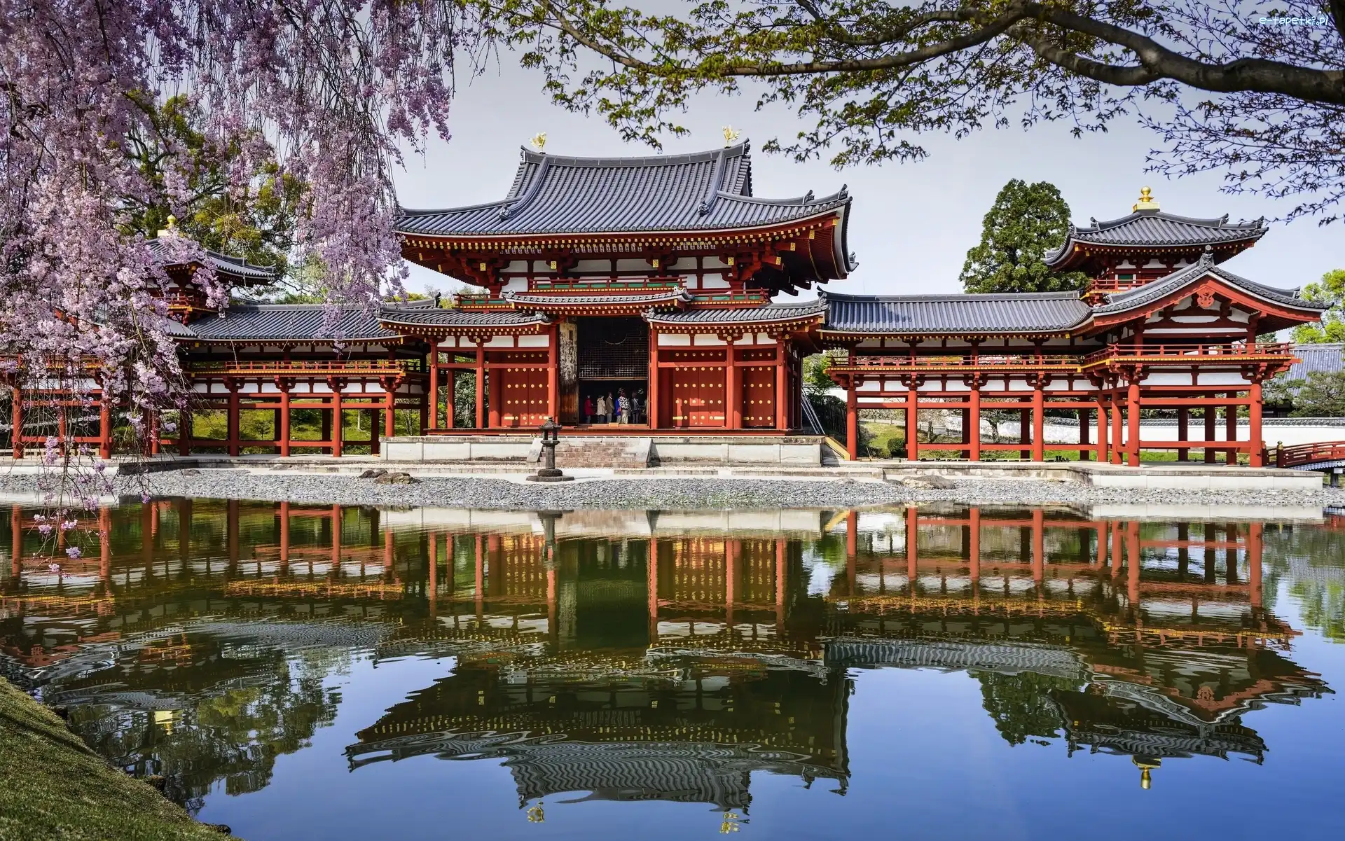 Buddyjska, Japonia, Świątynia, Wiosna