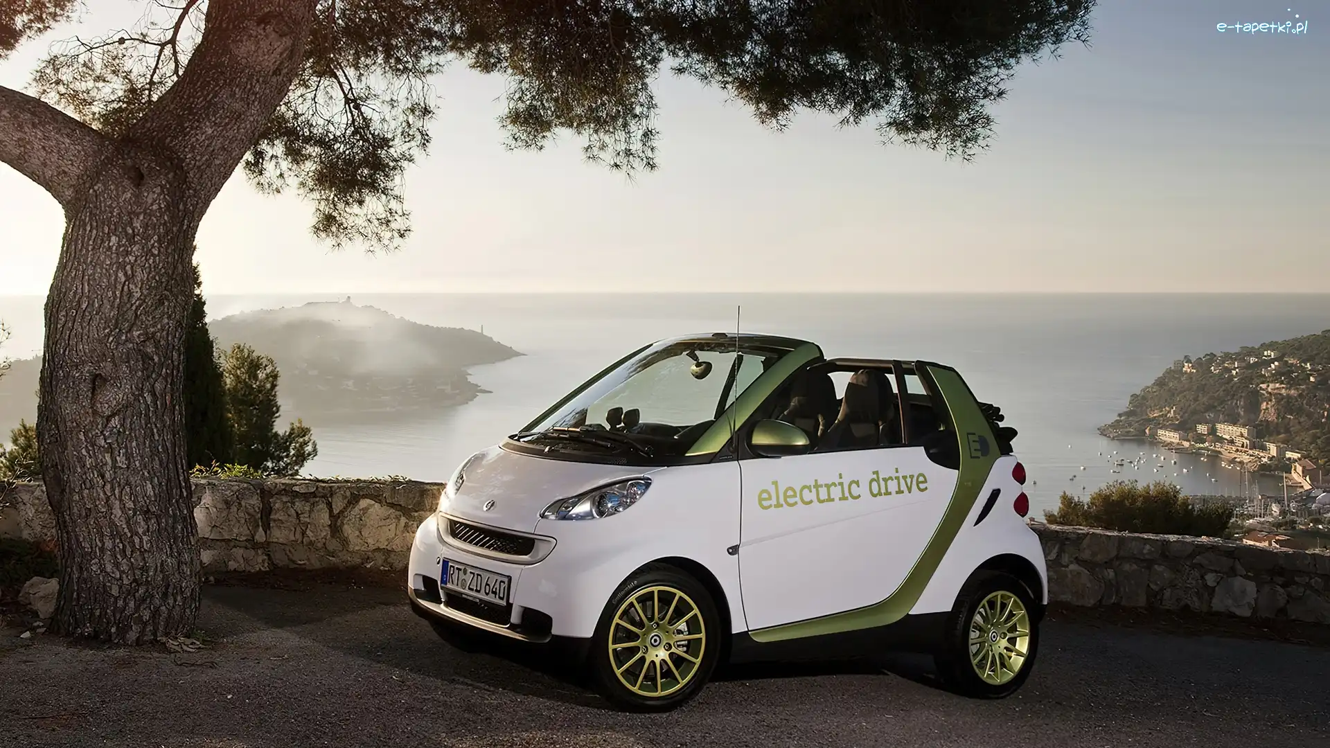 Morze, Fortwo, Drzewo, Skały, Smart, Samochód