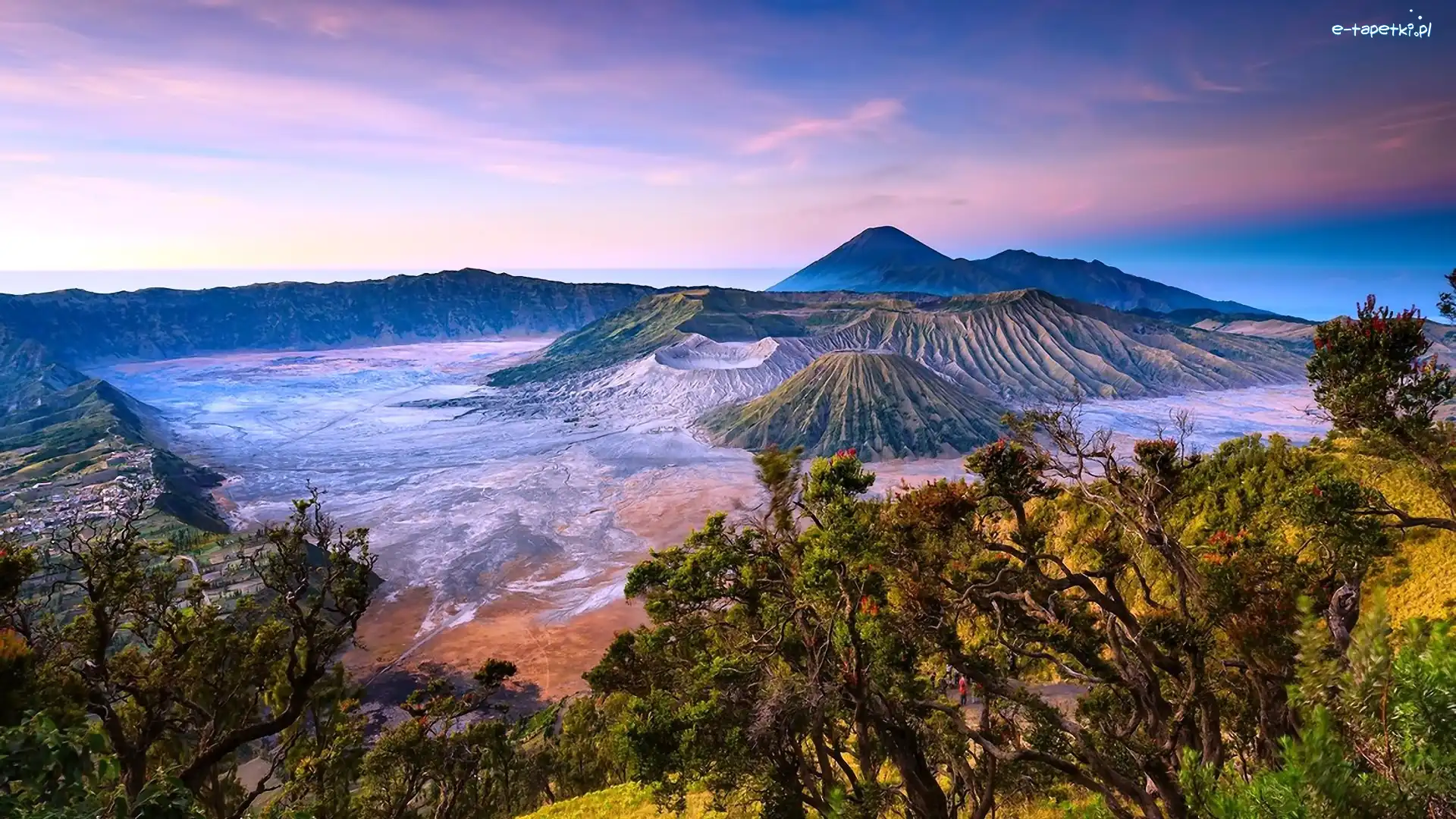 Bromo, Indonezja, Drzewa, Góra