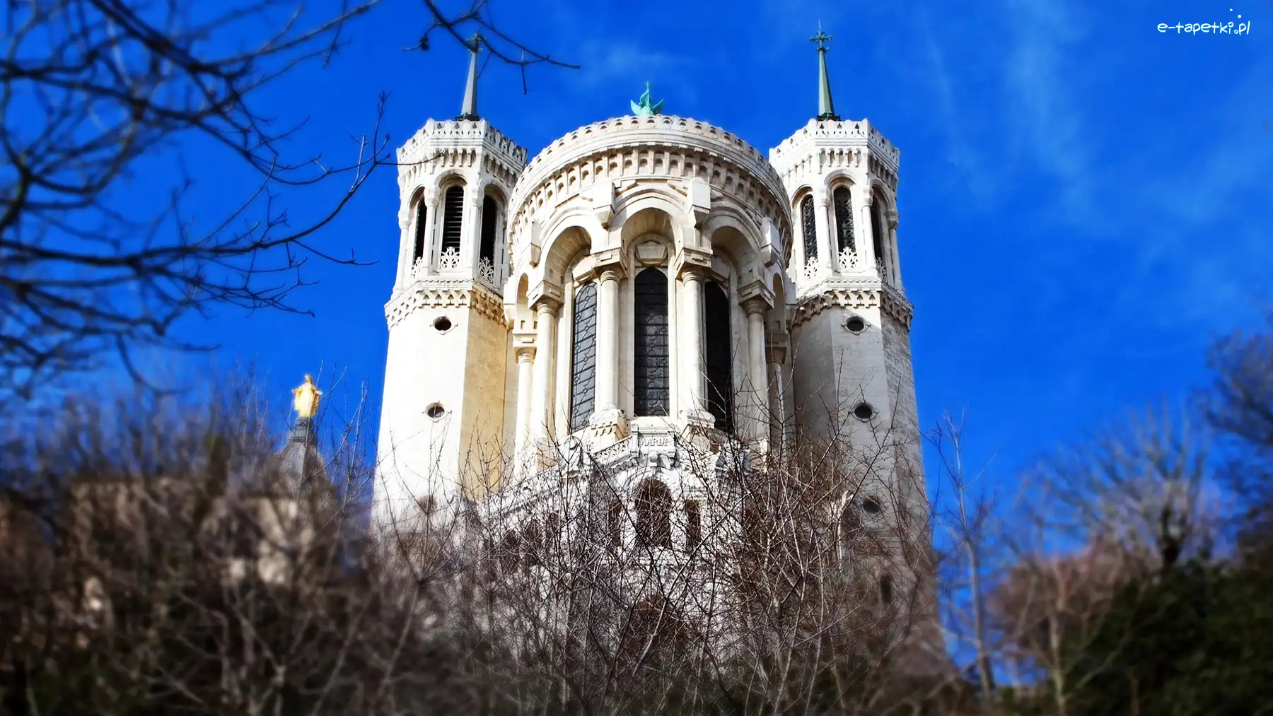 Notre Dame, Francja, Paryż, Katedra