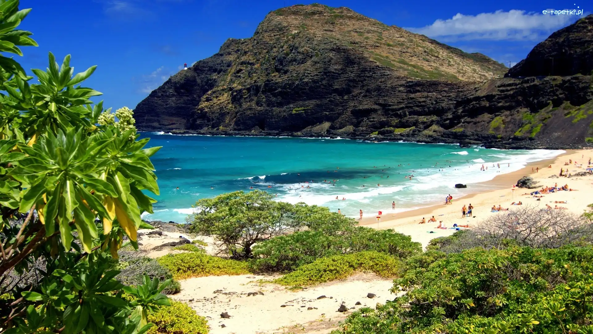 Oahu, Plaża, Roślinność, Hawaje, Morze, Góry
