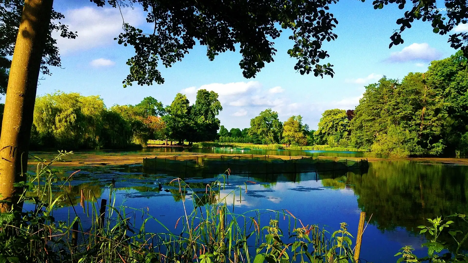 Park, Jezioro