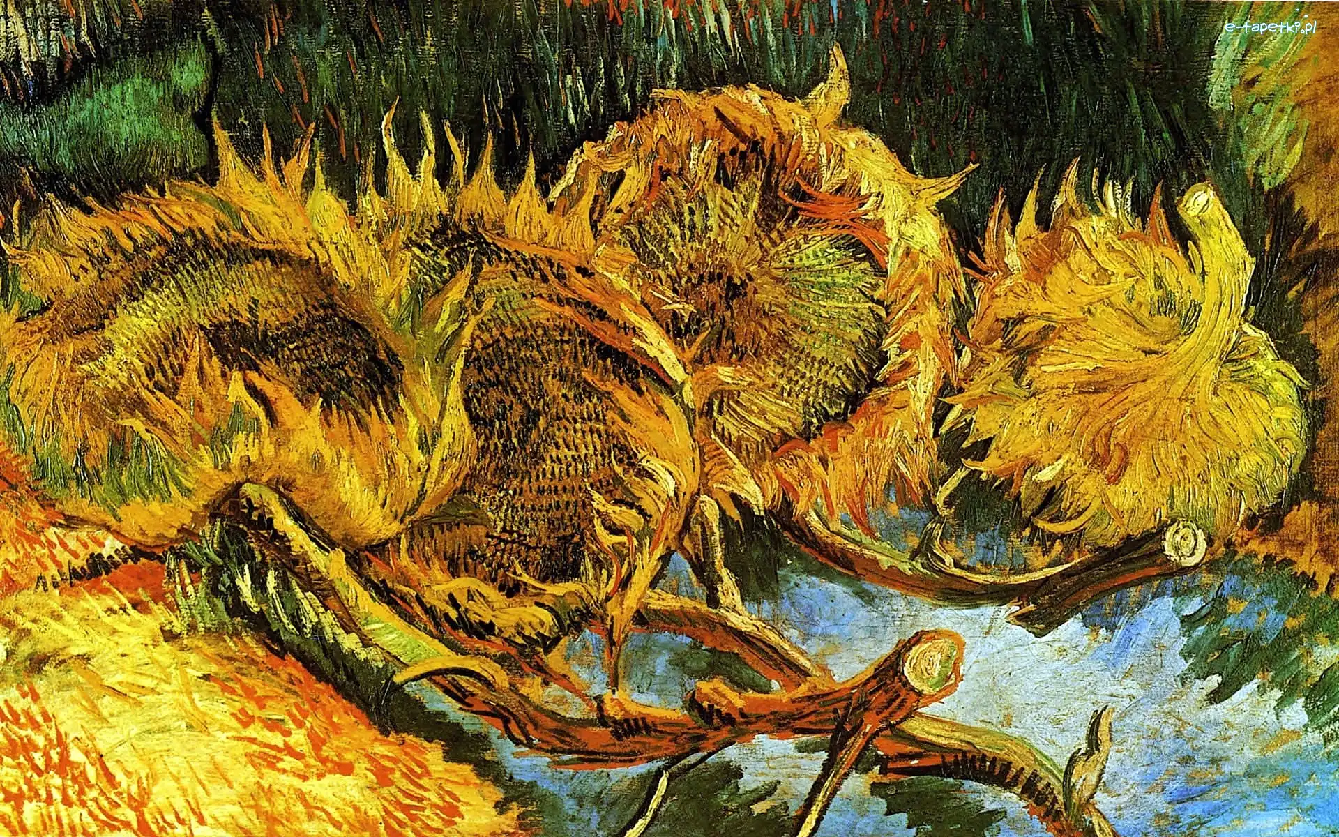 Słoneczniki, Van Gogh, Vicent
