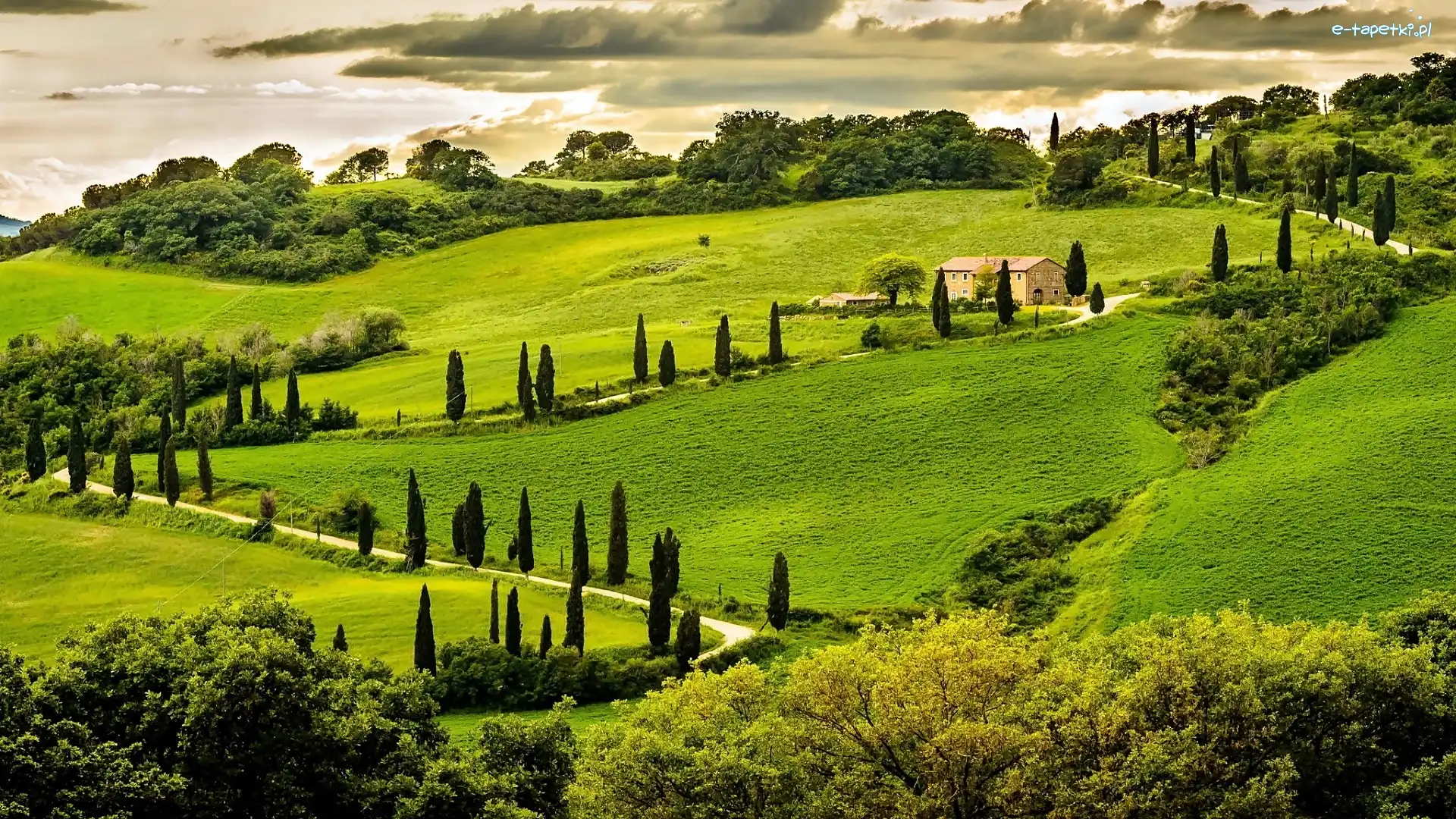 Droga, Dom, Pola, Drzewa, Wzgórza, Umbria