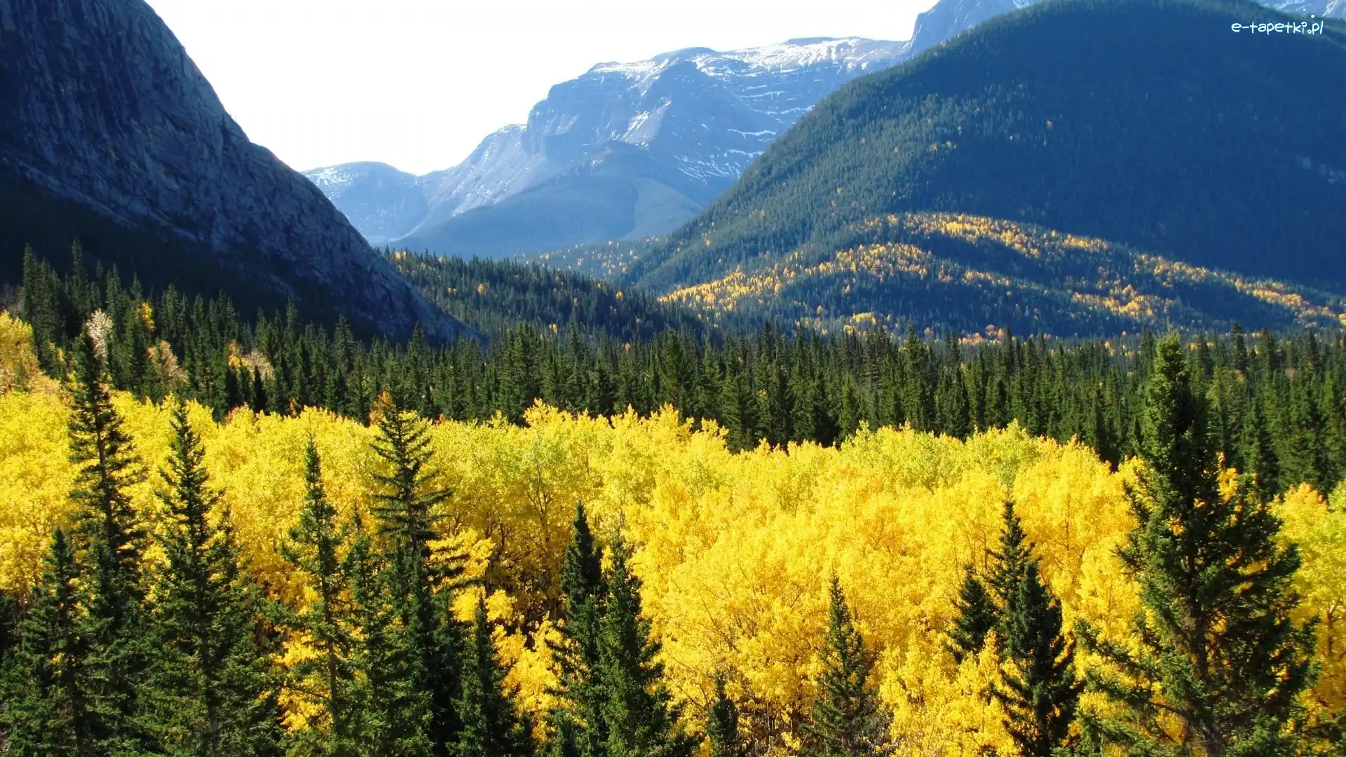 Lasy, Kanada, Alberta, Góry