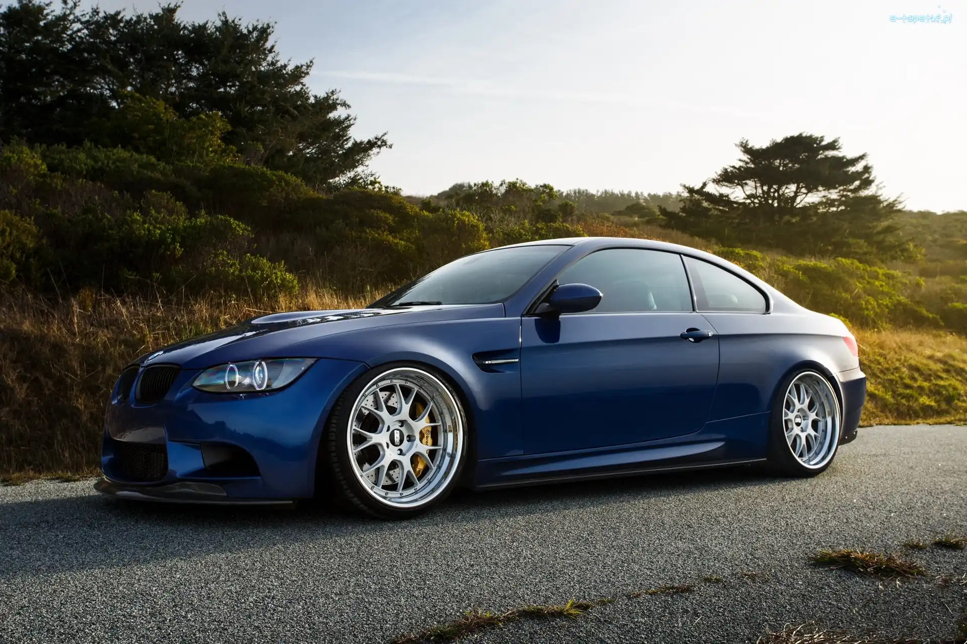 BMW M5, Drzewa, Droga, Niebieskie