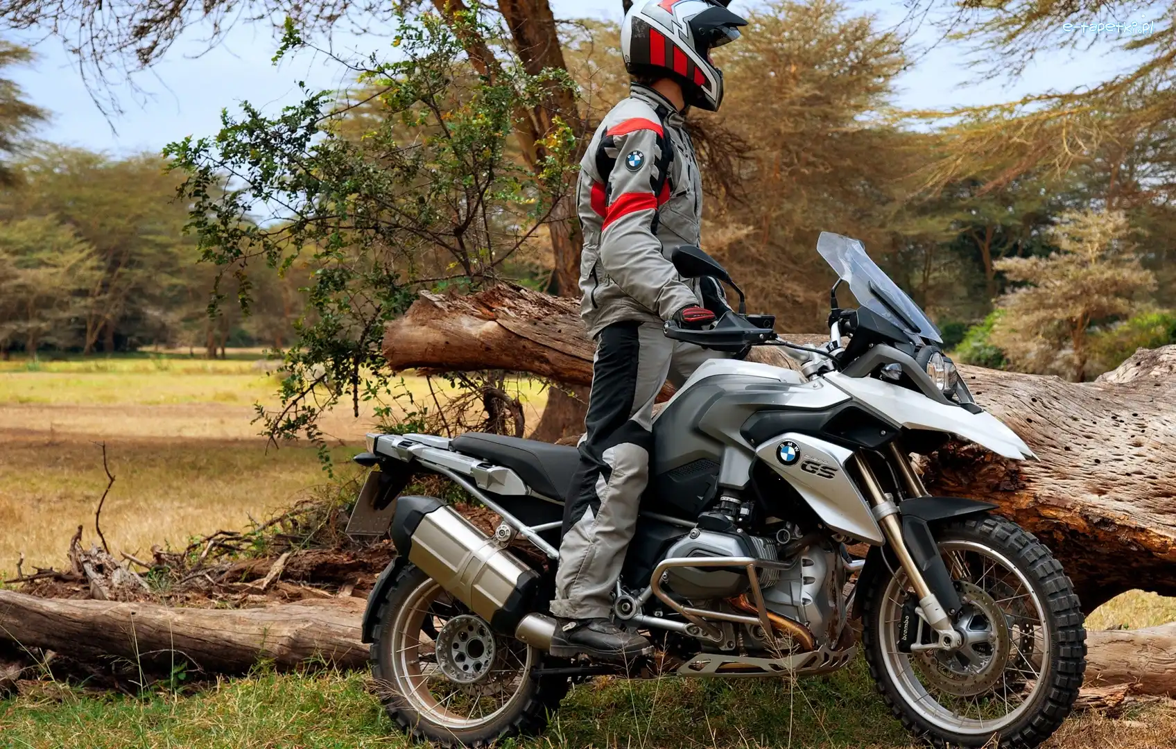 BMW R1200GS, Drzewa, Motocyklista, Motocykl