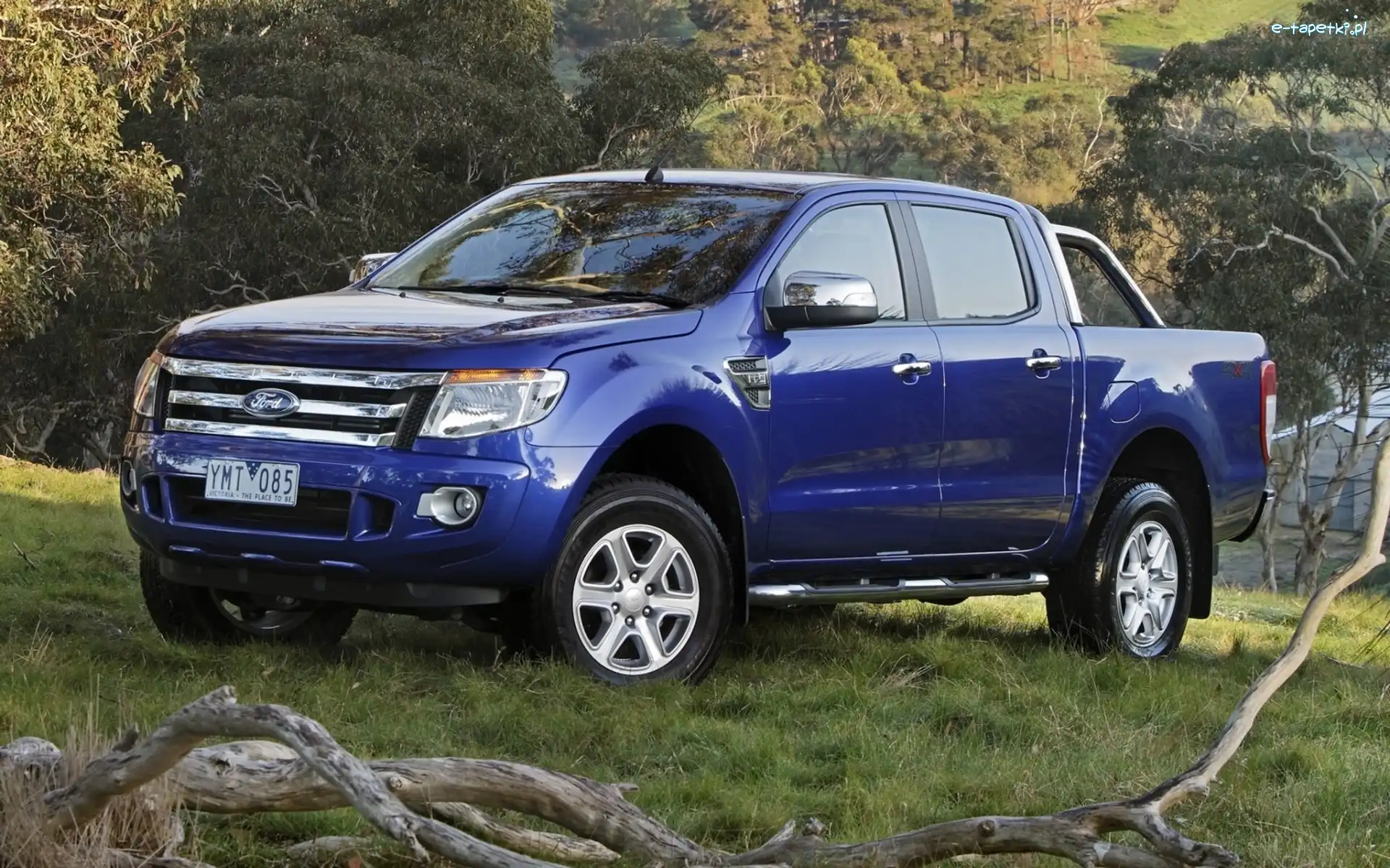 Ranger, Drzewa, Łąka, Ford