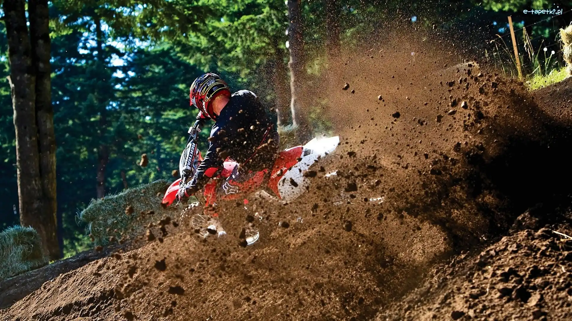 Las, Zawodnik, Motocross, Lato