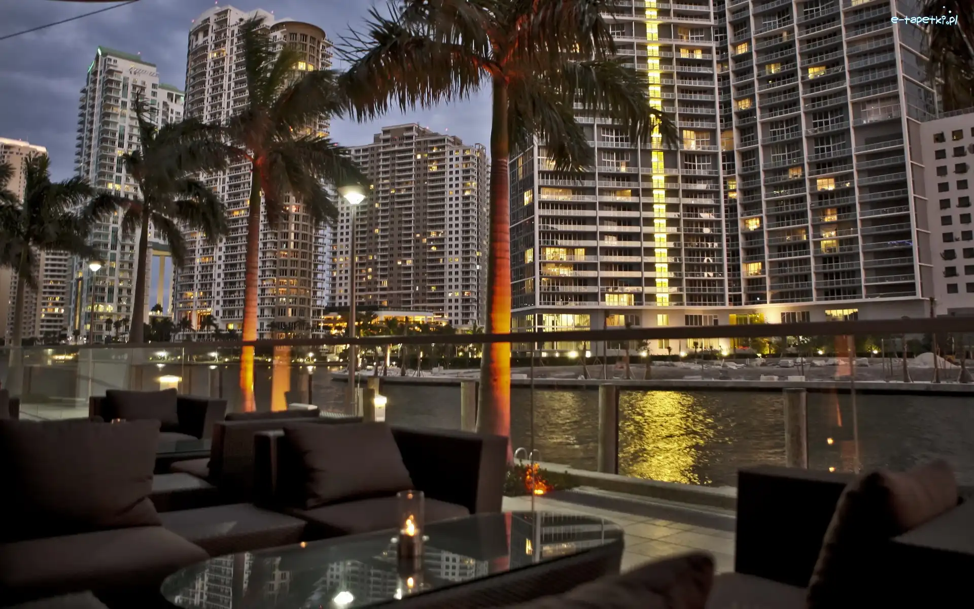 Miami, Palmy, Drapacze Chmur, Stany Zjednoczone