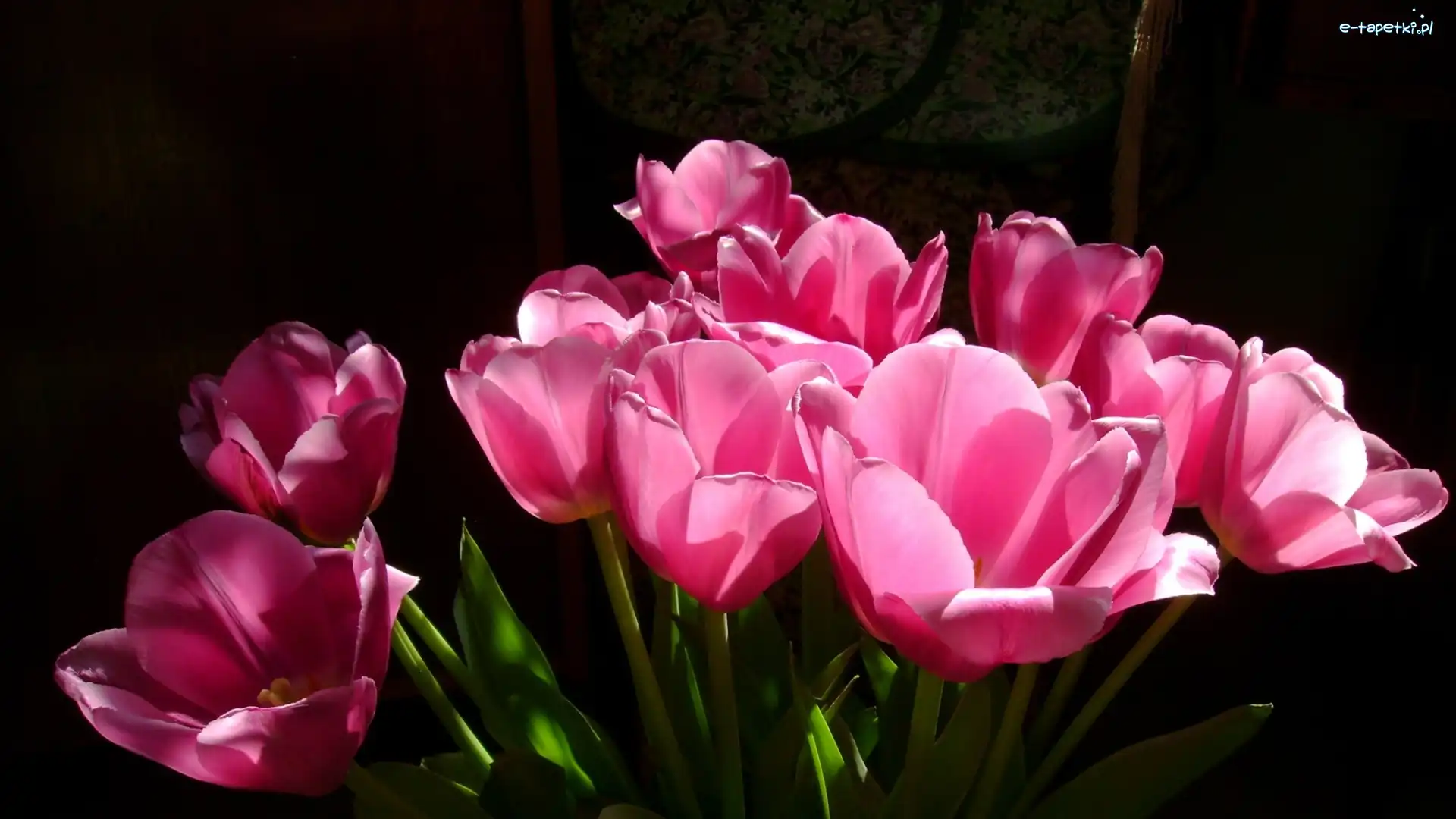 Tulipany, Różowe, Bukiet