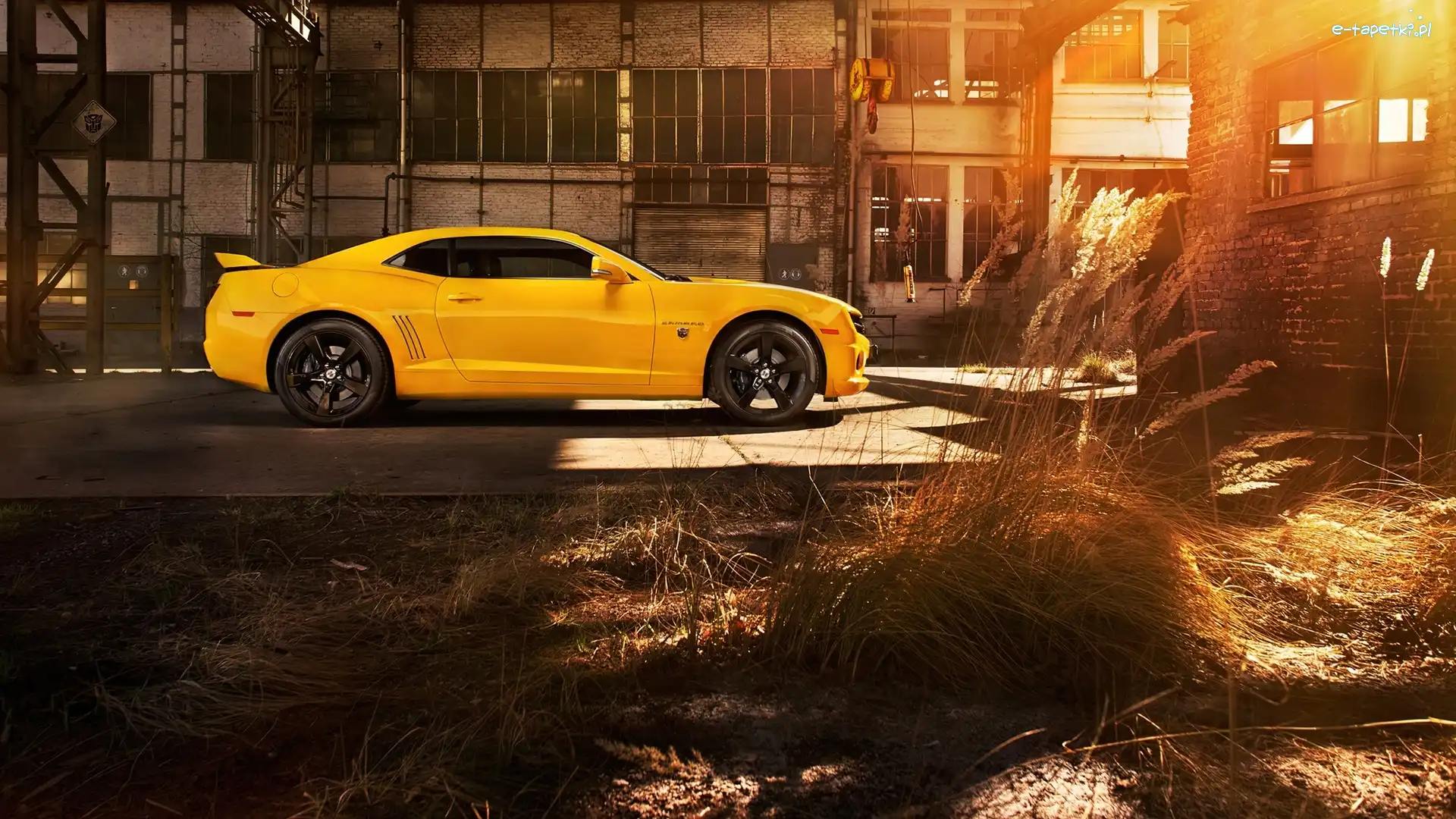 SS, Światło, Żółty, Camaro