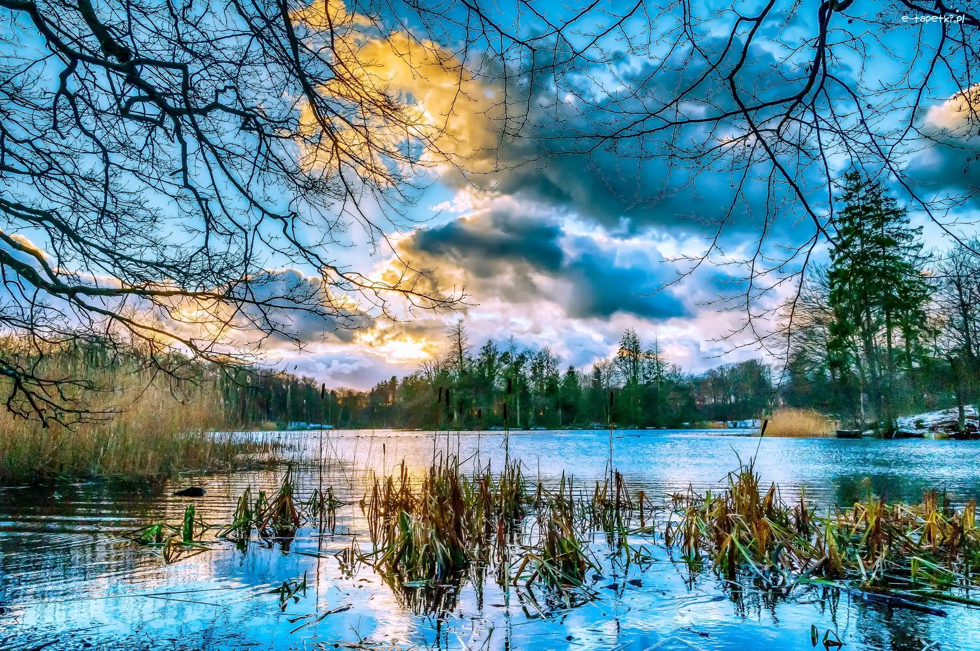 Lasek, Trawy, Jezioro