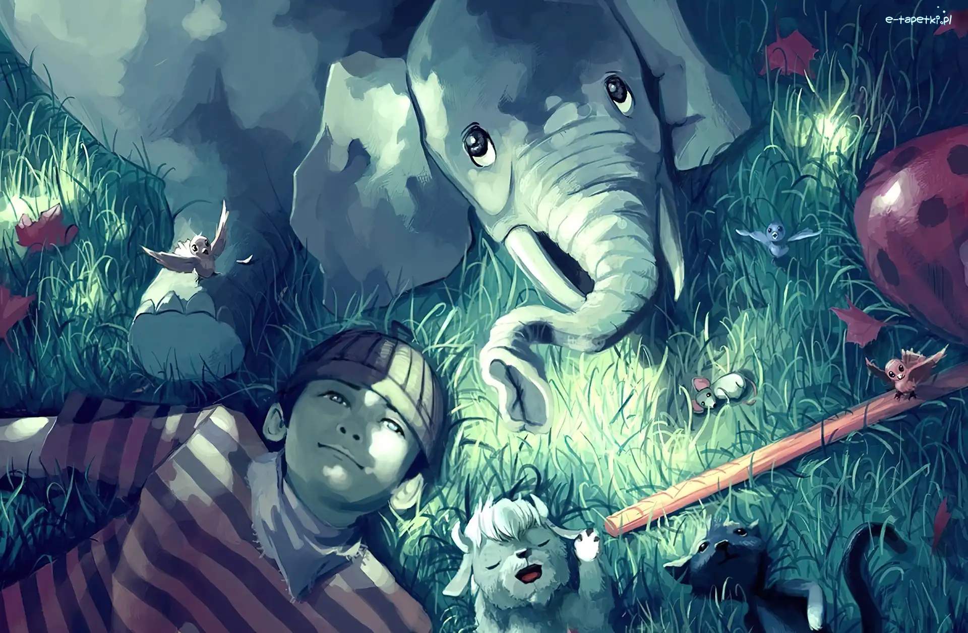Słoń, Chłopiec, Cyril Rolando