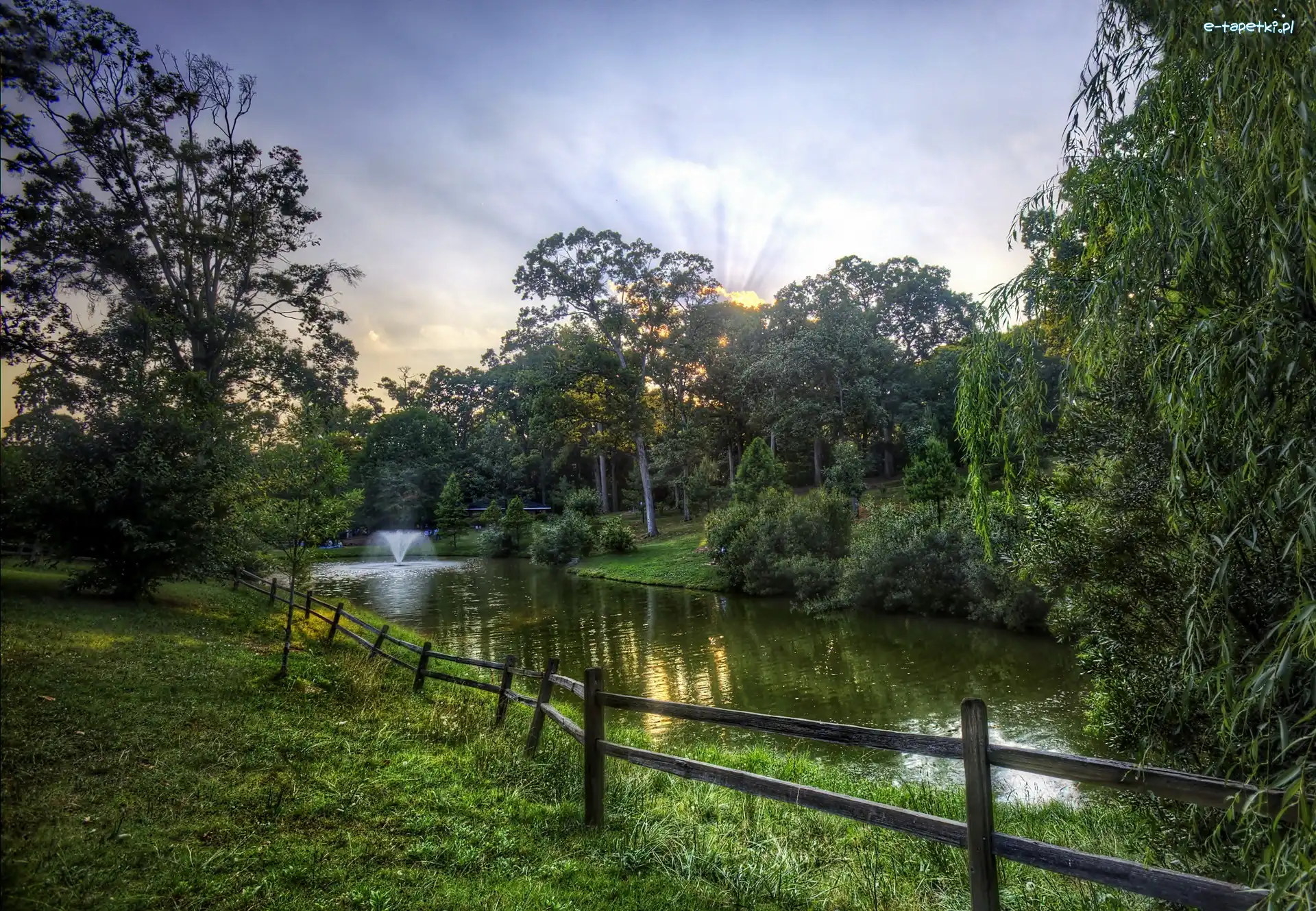 Park, Wodotrysk, Staw, Światło, Przebijające