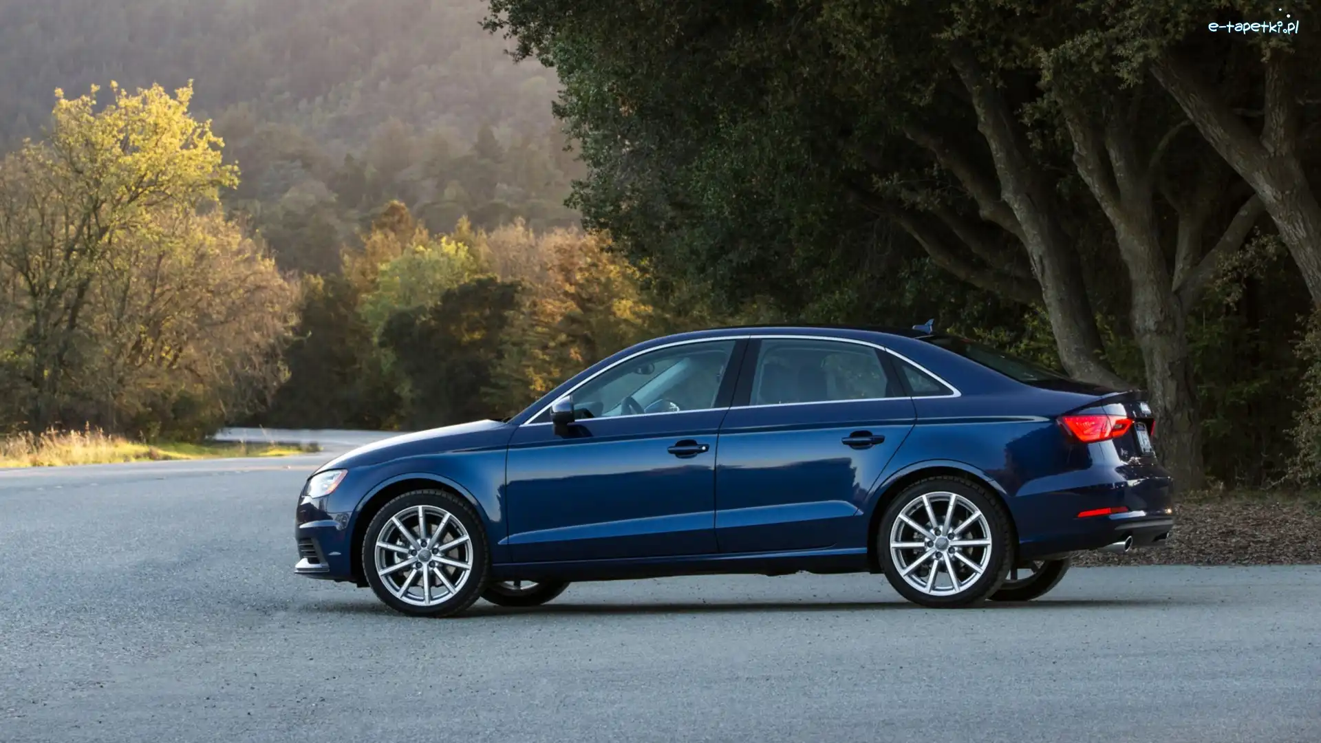 A3, Drzewa, Droga, Audi