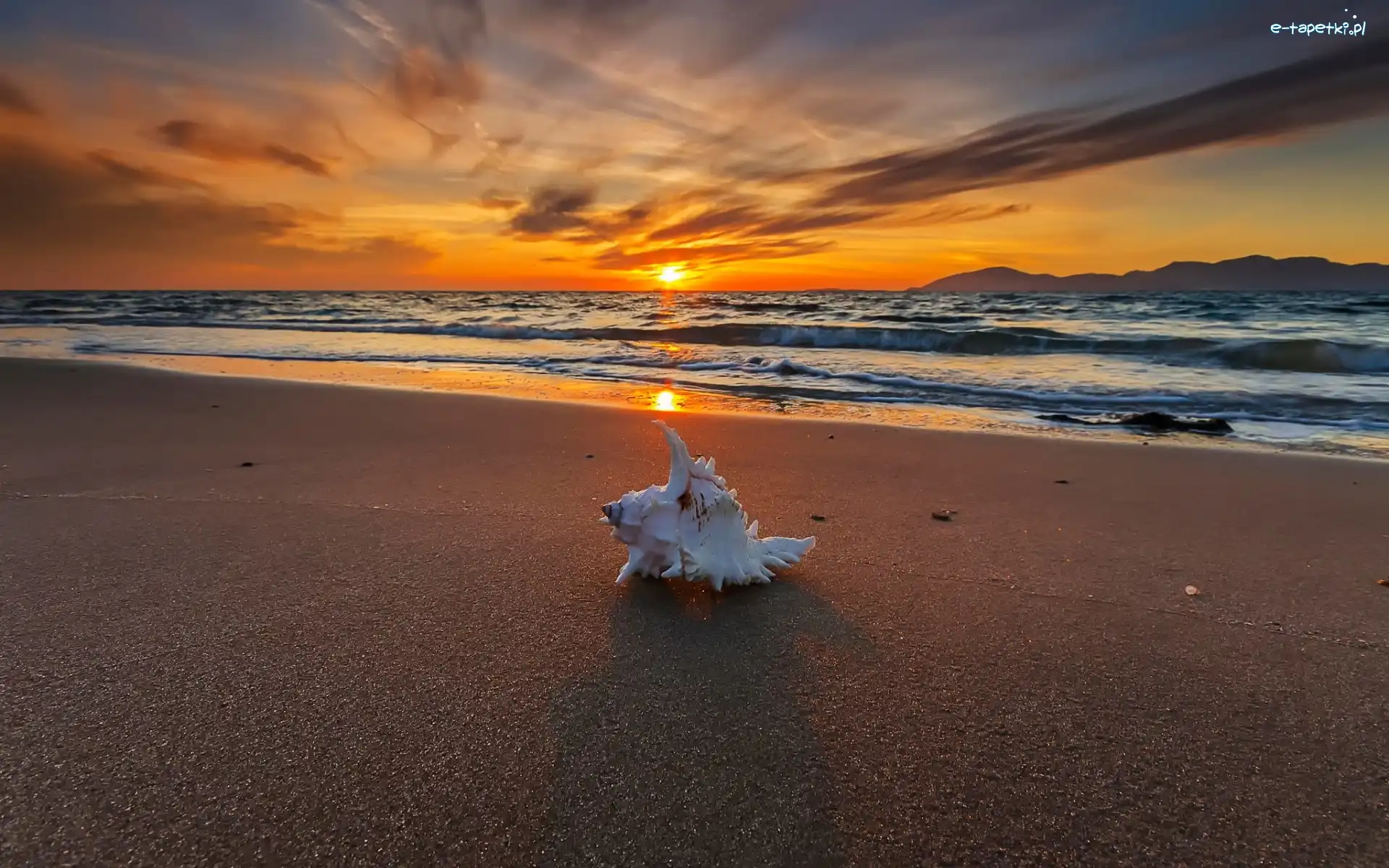 Zachód, Morze, Fale, Słońca, Muszla, Plaża