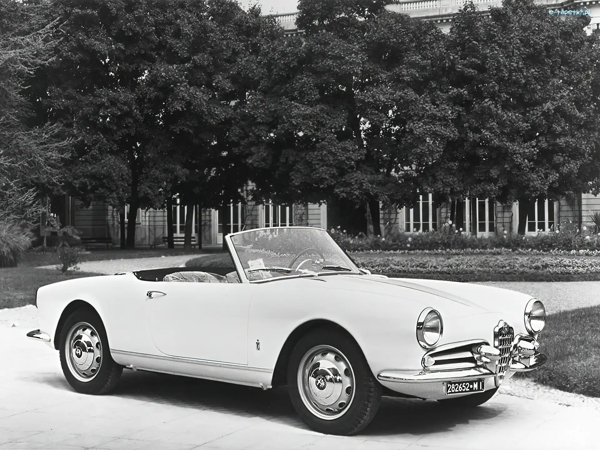 Alfa Romeo, światła, koła , maska, opony