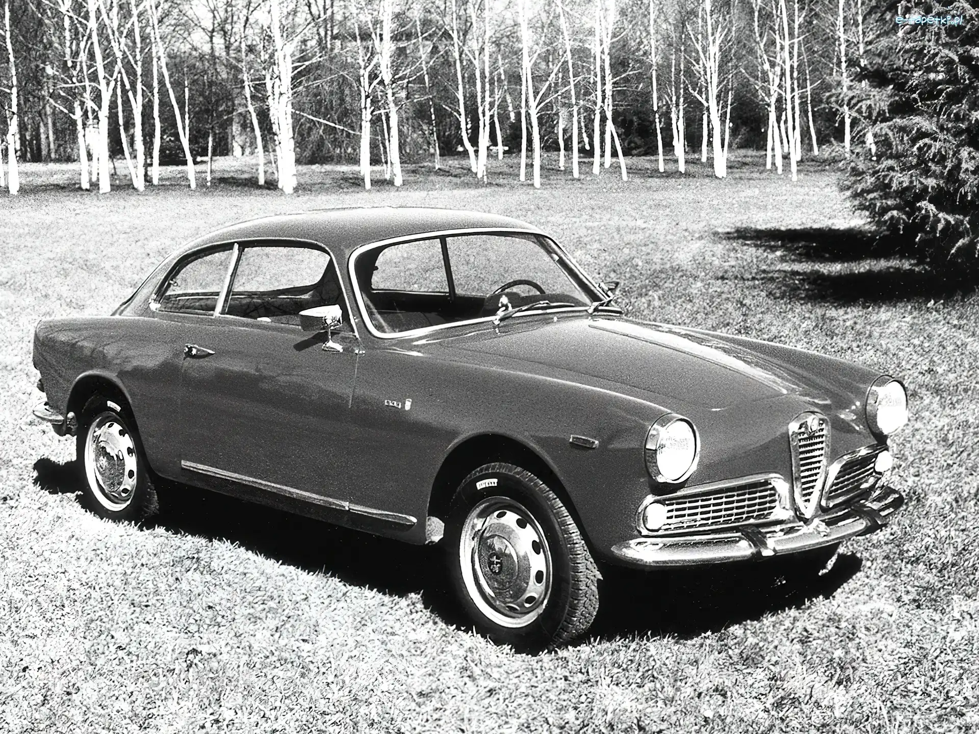 Alfa Romeo, światła, koła , maska, opony