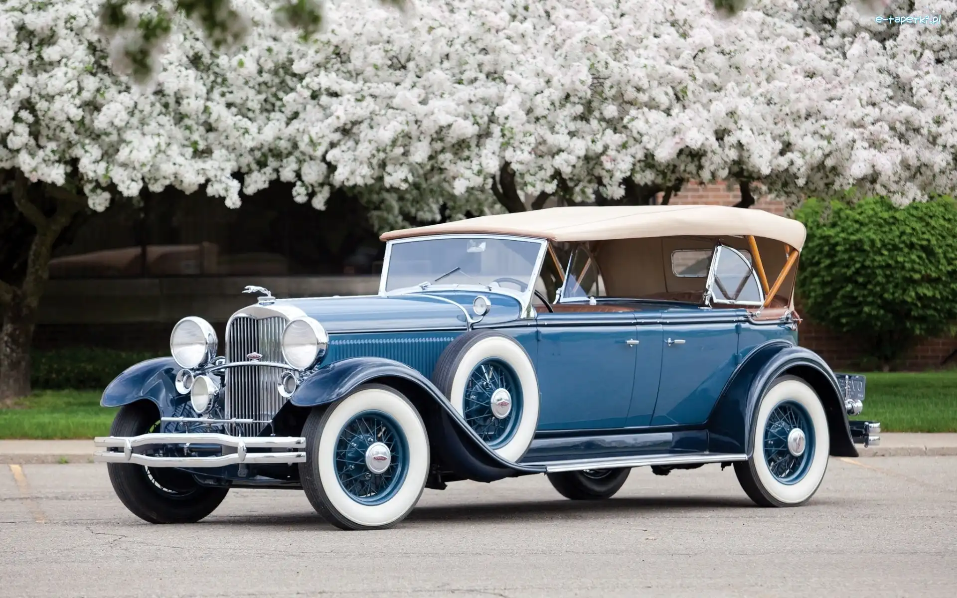 1931, Lincoln, Drzewa, Kwitnące, Sportowy, Zabytkowy, Droga, Phaeton