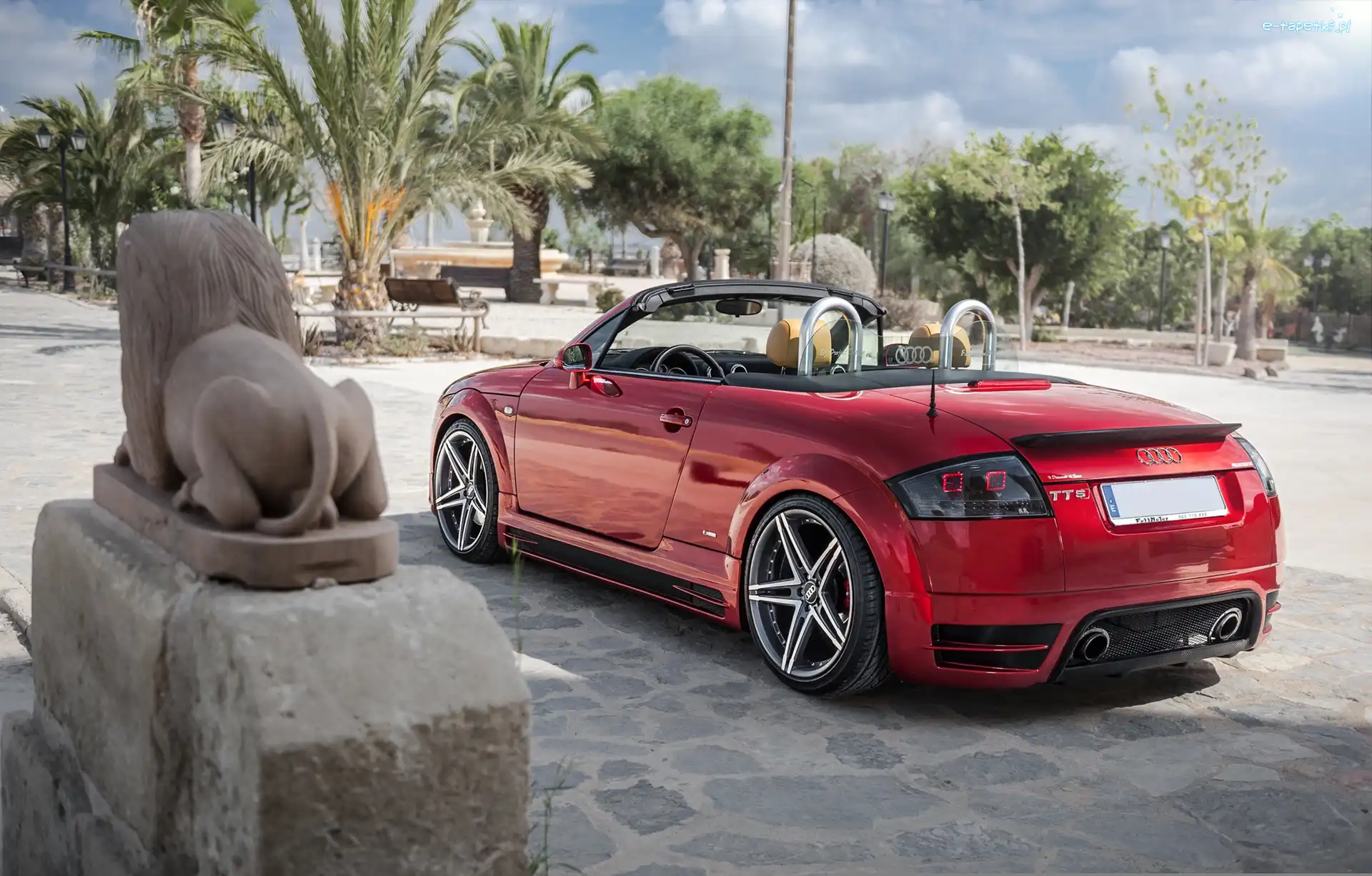 Drzewa, Pomnik, Palmy, Audi TT