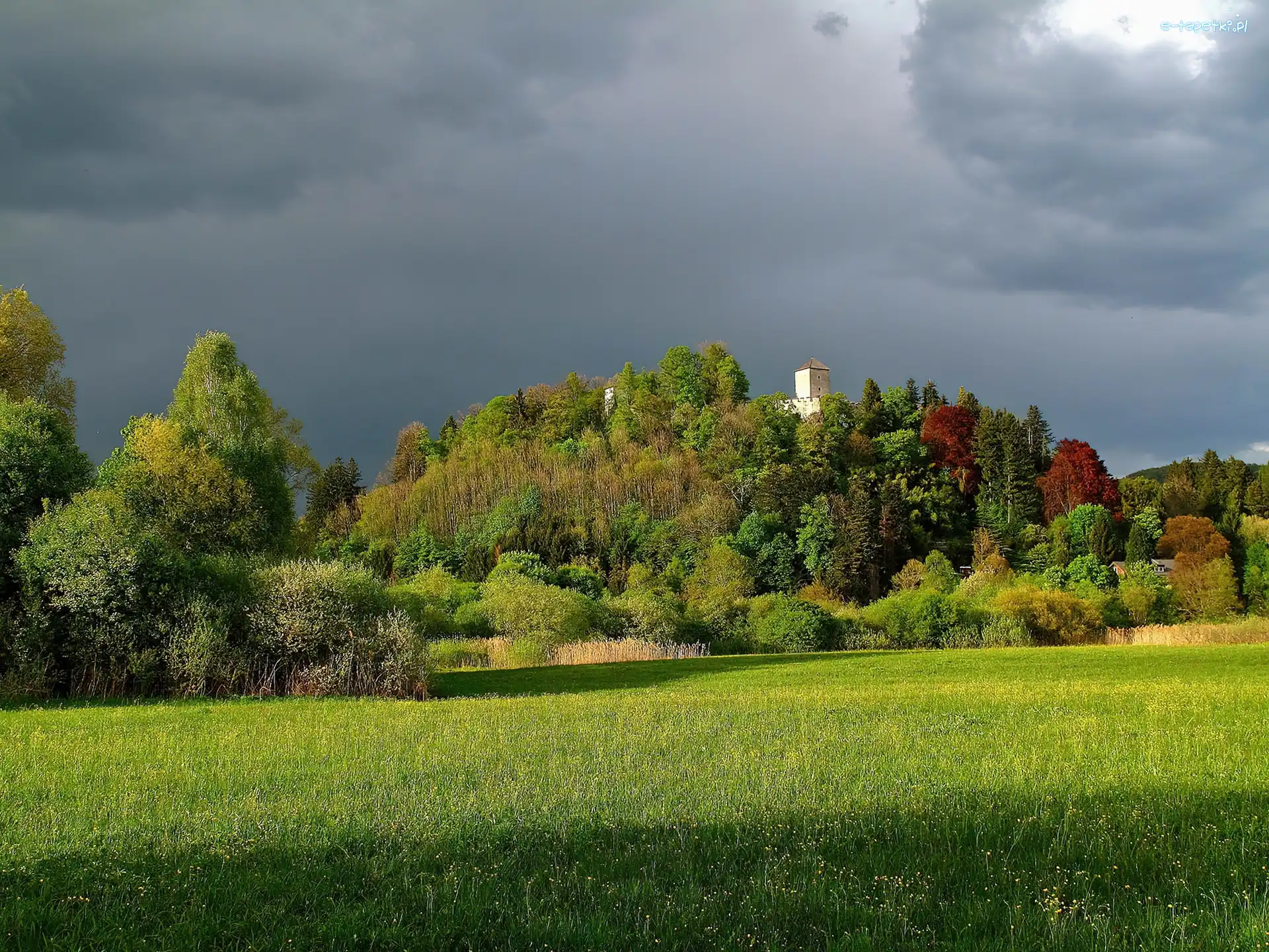 Wzgórze, Łąka, Drzewa, Zamek