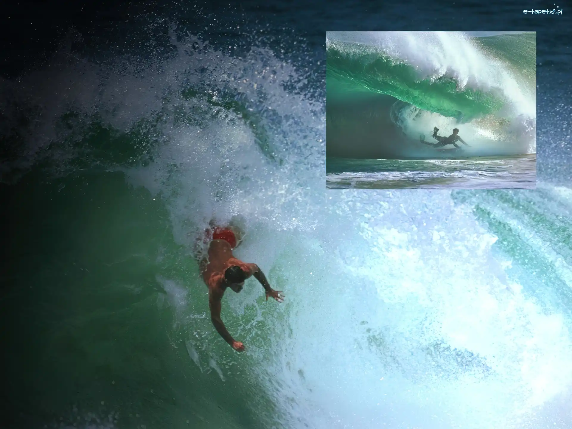 surfer, Windsurfing