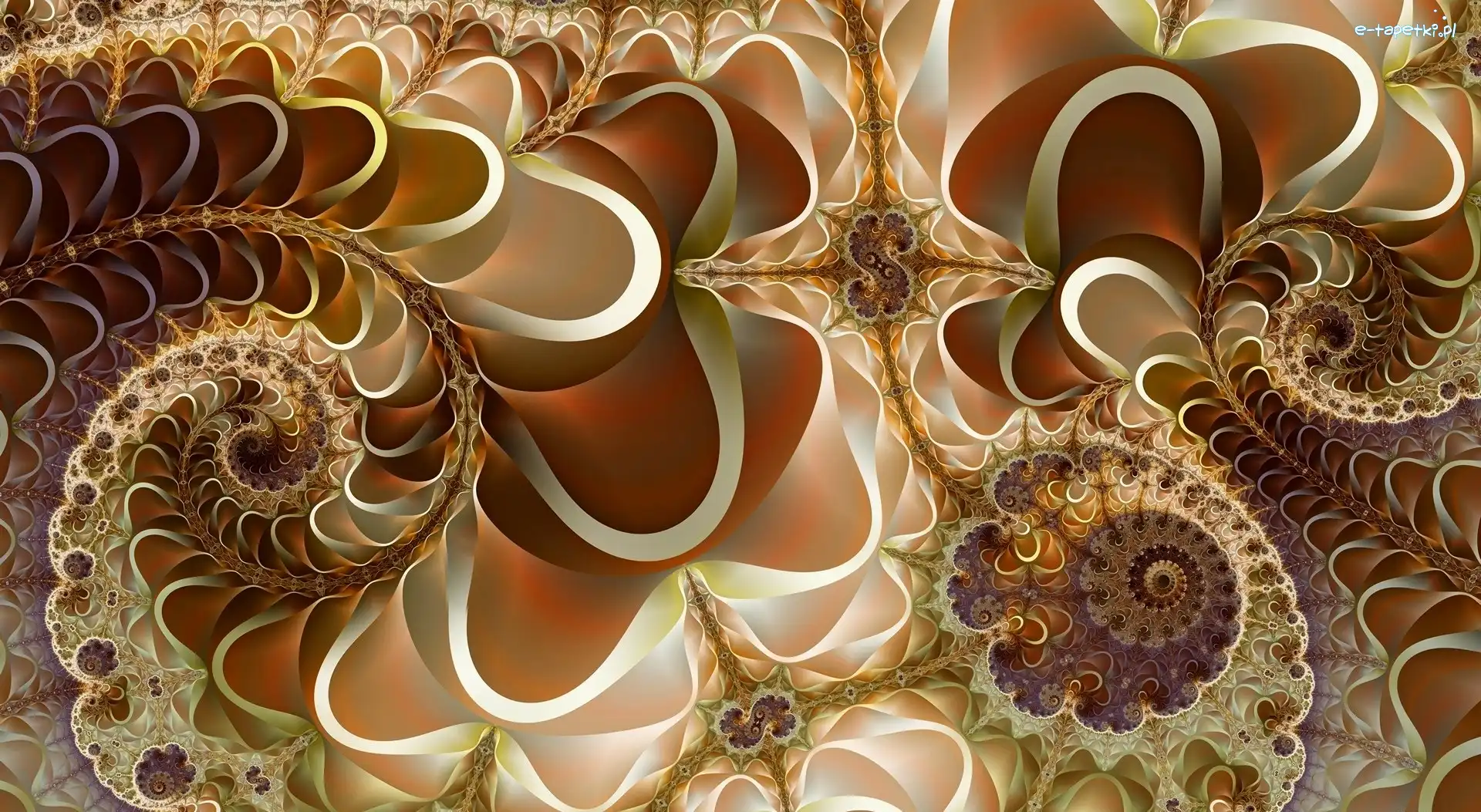 Fractalius, Piękny, Grafika