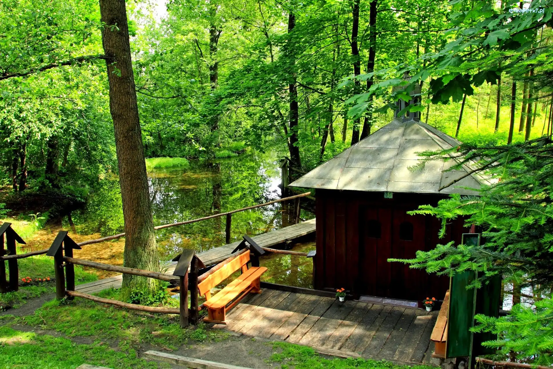 Jezioro, Chatka, Las