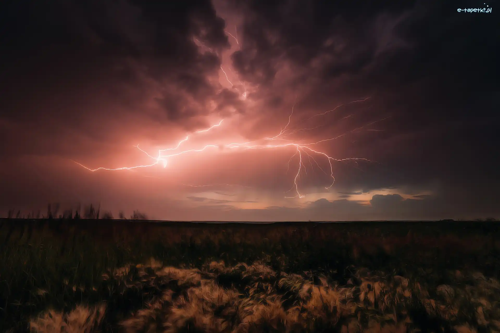 Trawy, Błyskawice, Noc