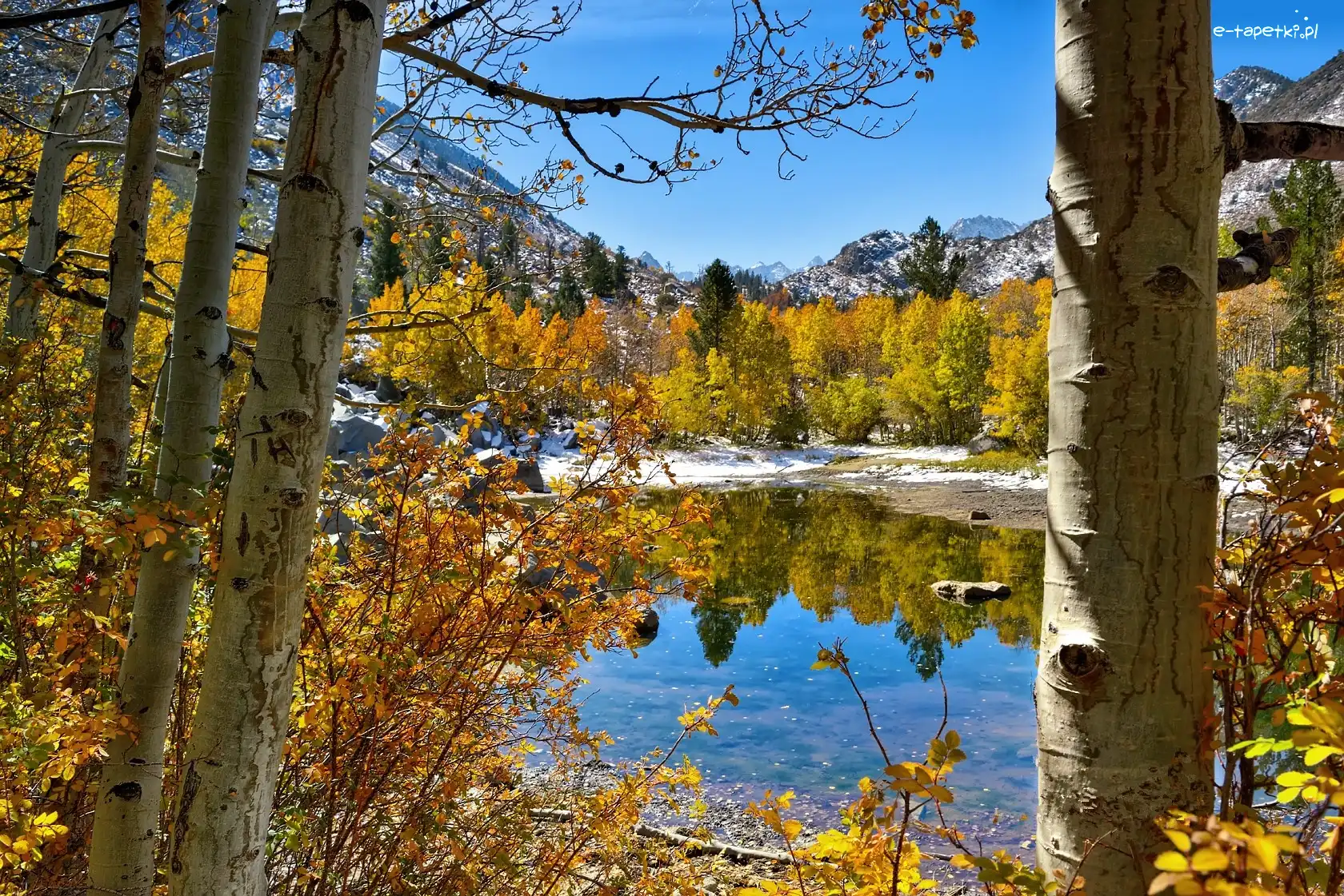 Góry, Park Narodowy Yosemite, Jezioro, Drzewa Jezioro, Stan Kalifornia, Stany Zjednoczone