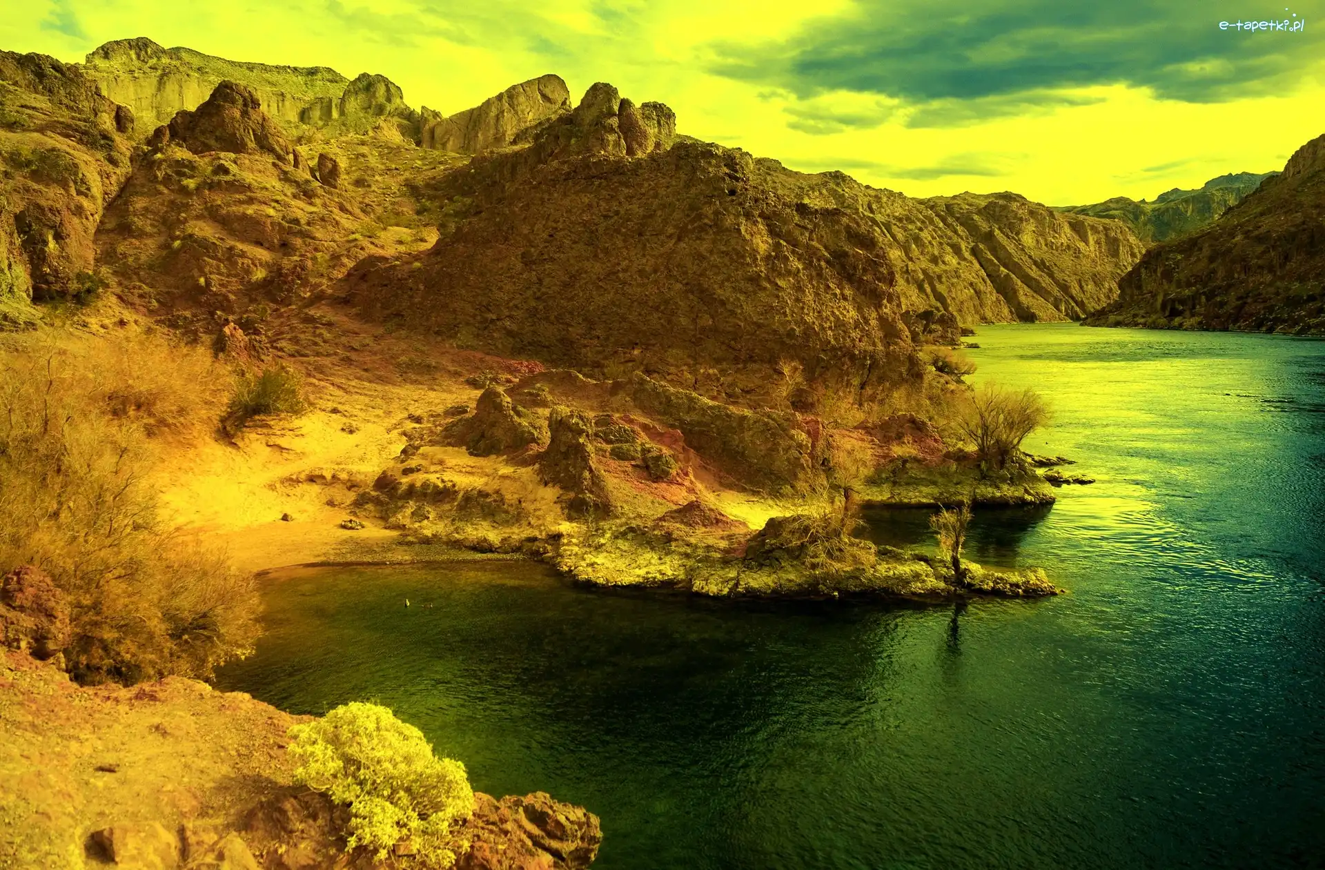 Arizona, Kanion