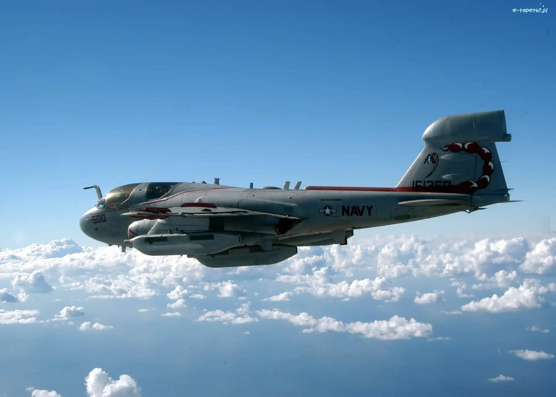 Prowler, EA6B, Grumman