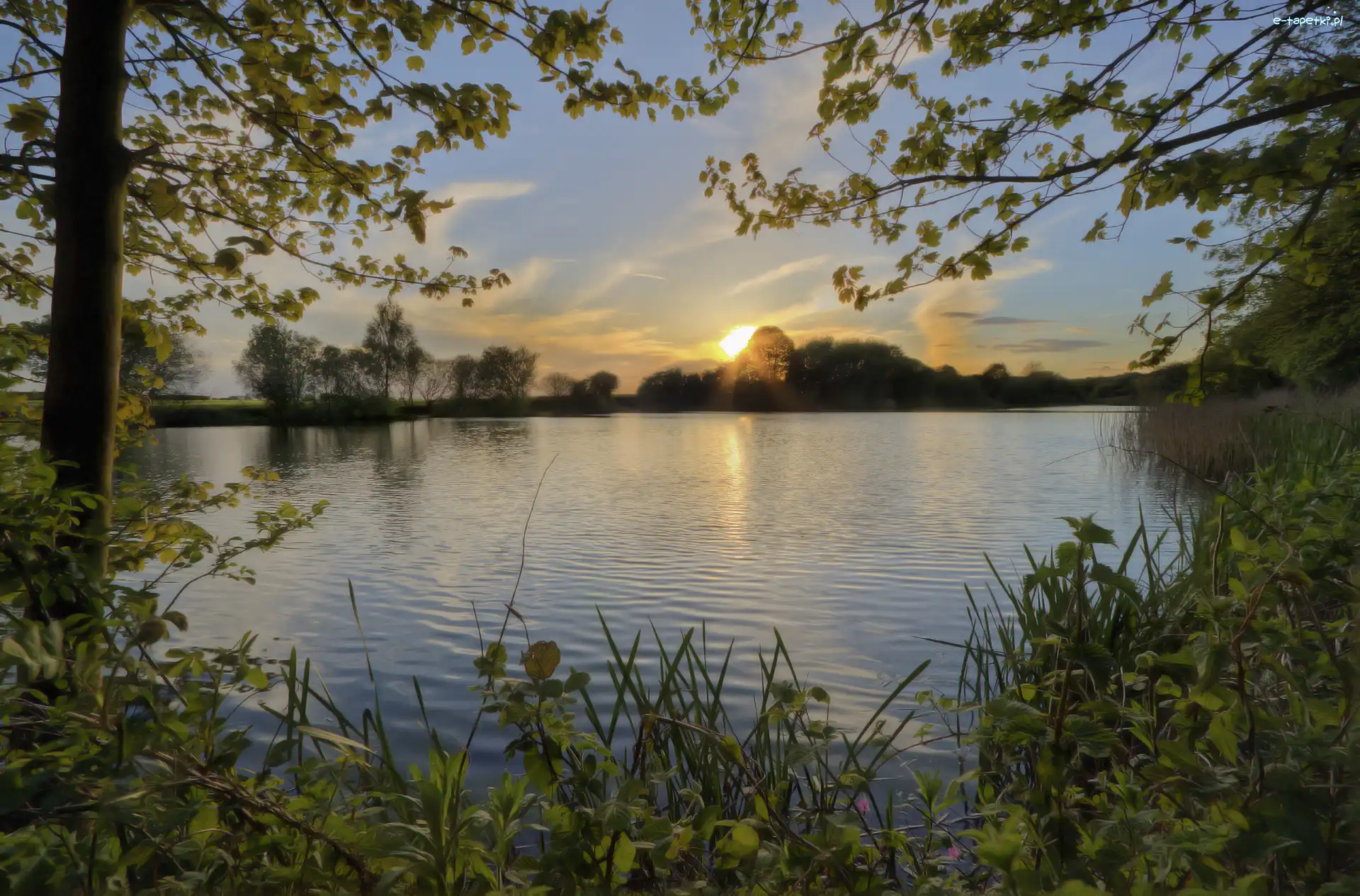 Zachód, Drzewa, Słońca, Jezioro