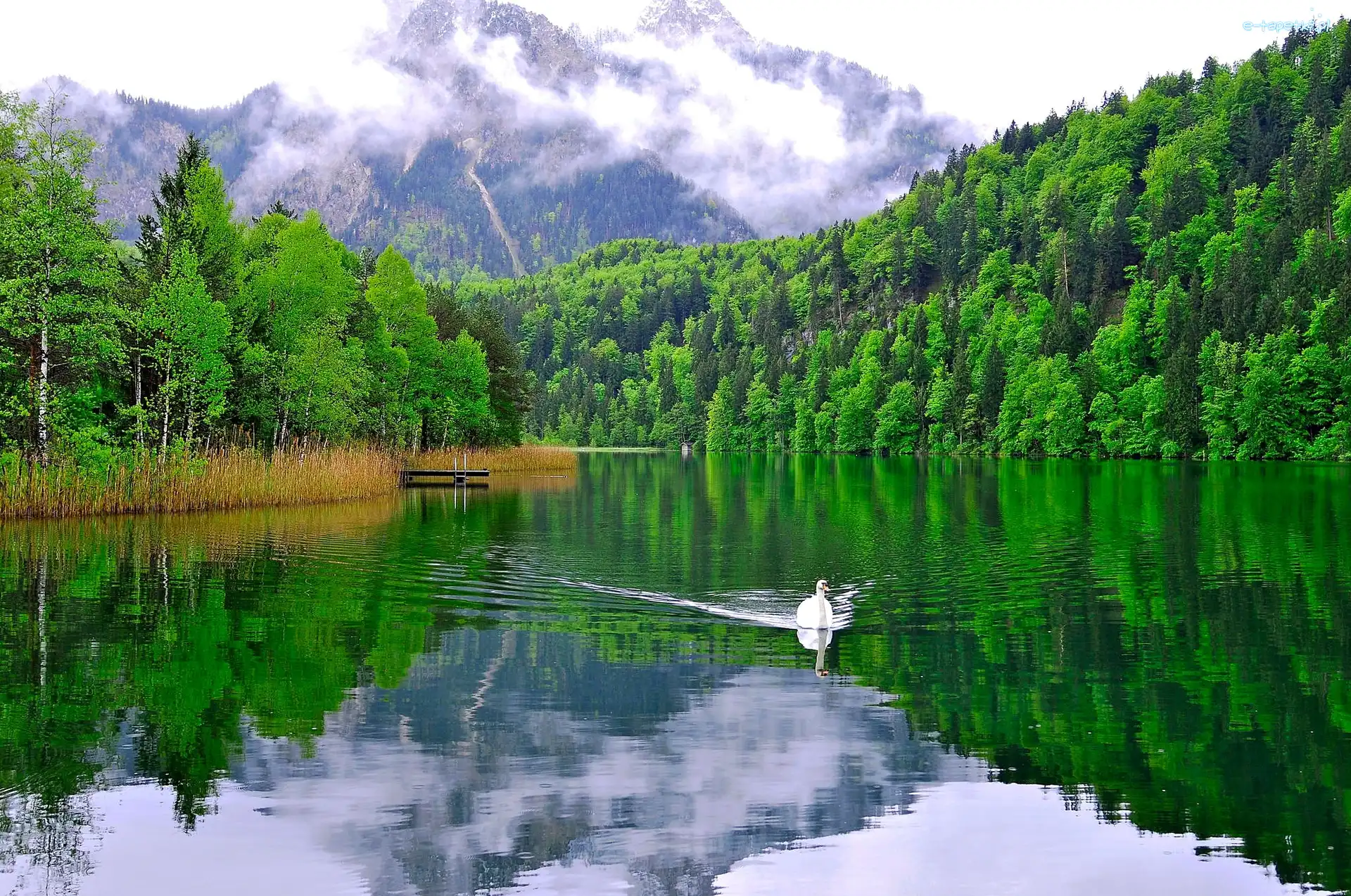 Lasy, Łabędz, Jezioro, Góry