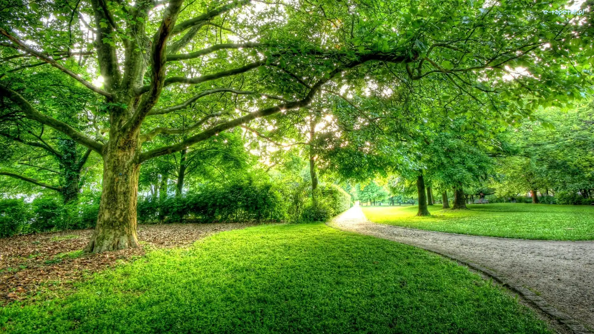 Niemcy, Berlin, Park