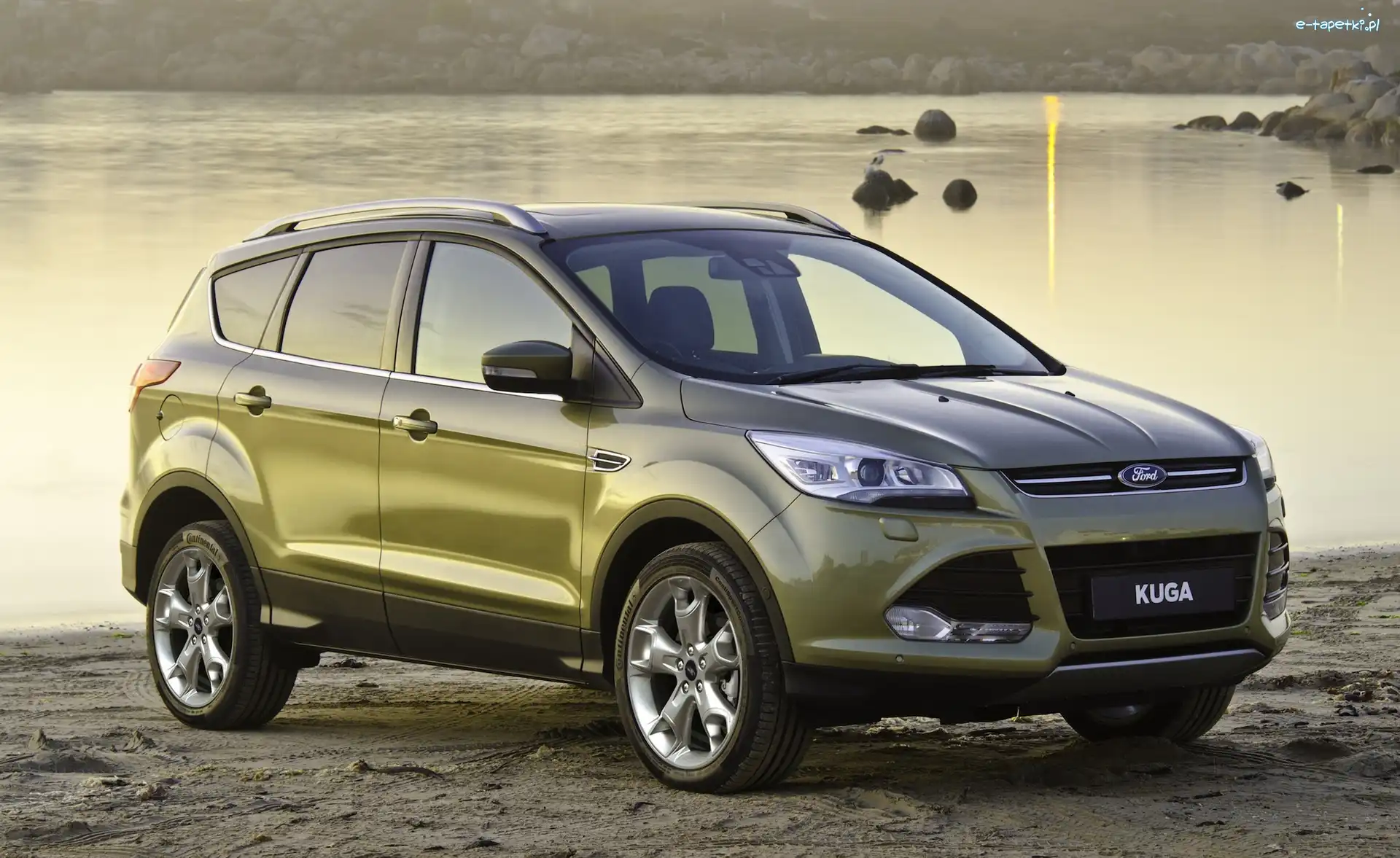 Ford, Kuga