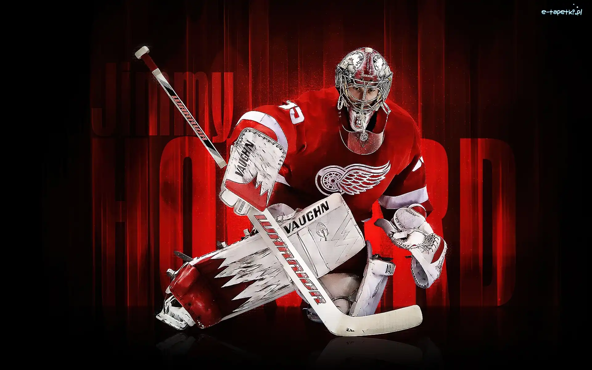 Bramkarz, NHL, Detroit Red Wings, Hokej