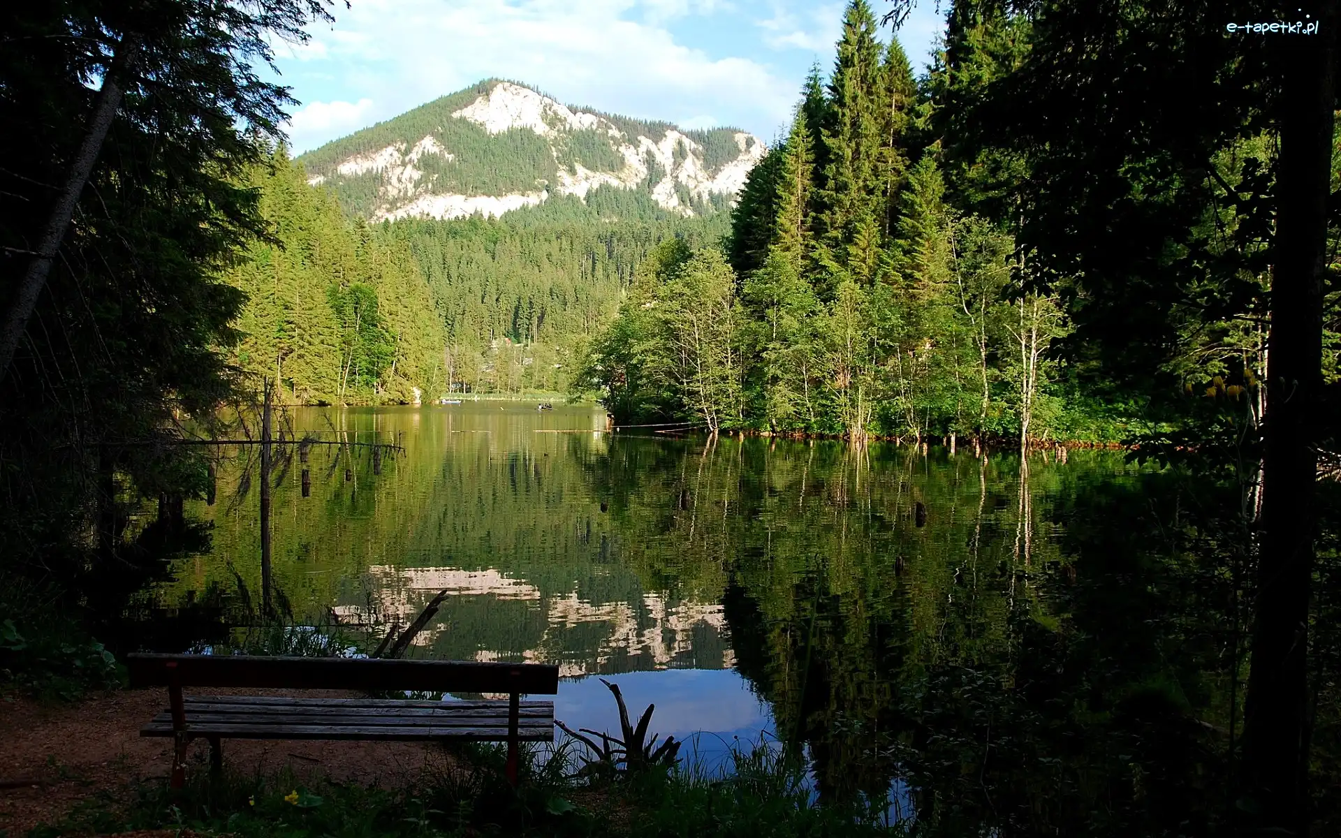 Jezioro, Ławka, Las, Góry